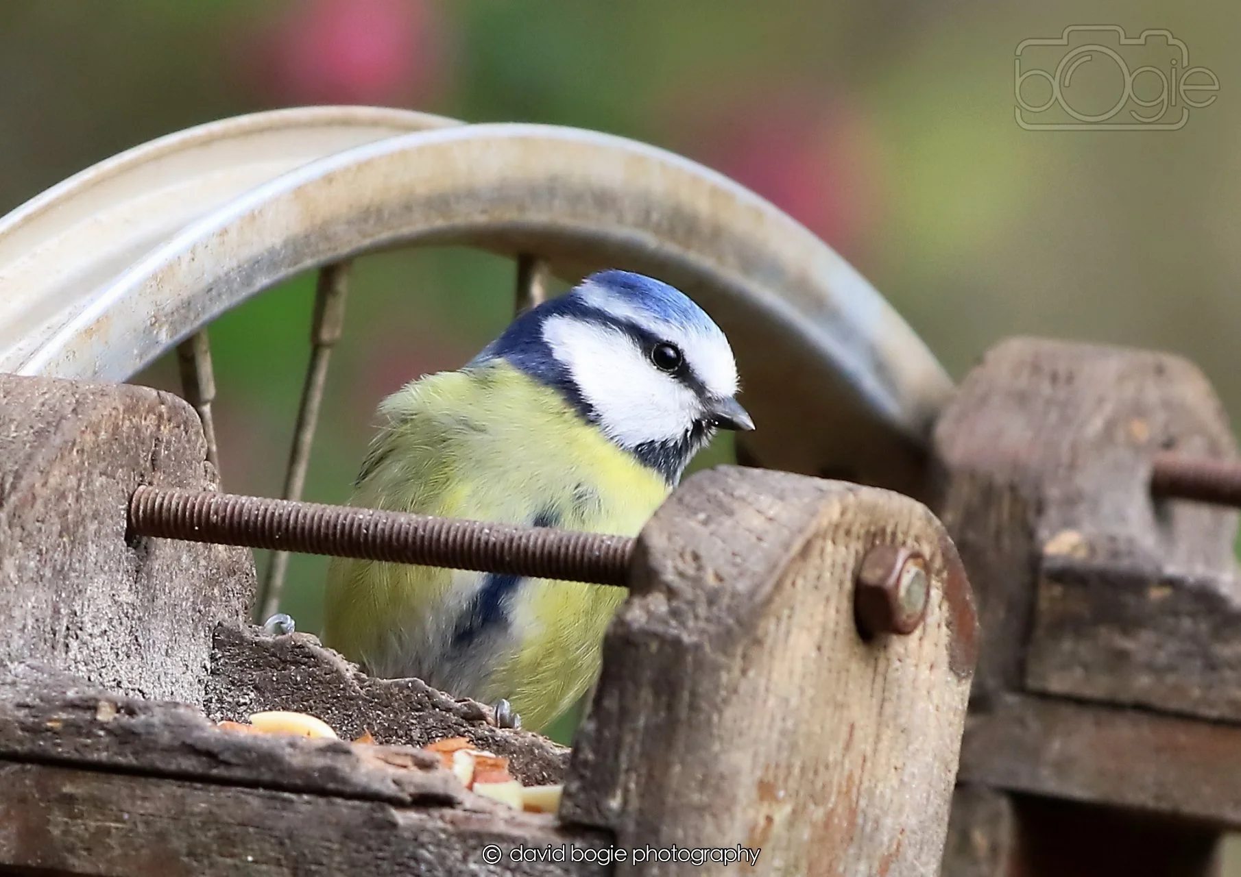 20260326 120422 Silverburn 0382.jpg