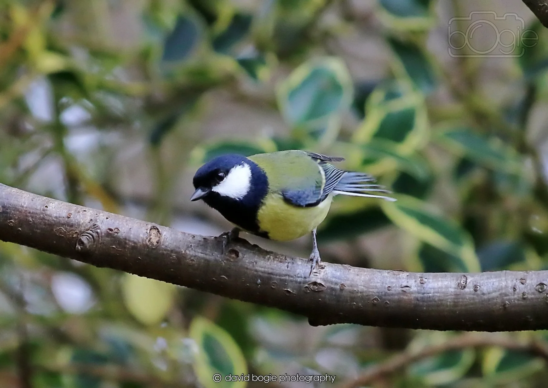 20260326 115132 Silverburn 0277.jpg