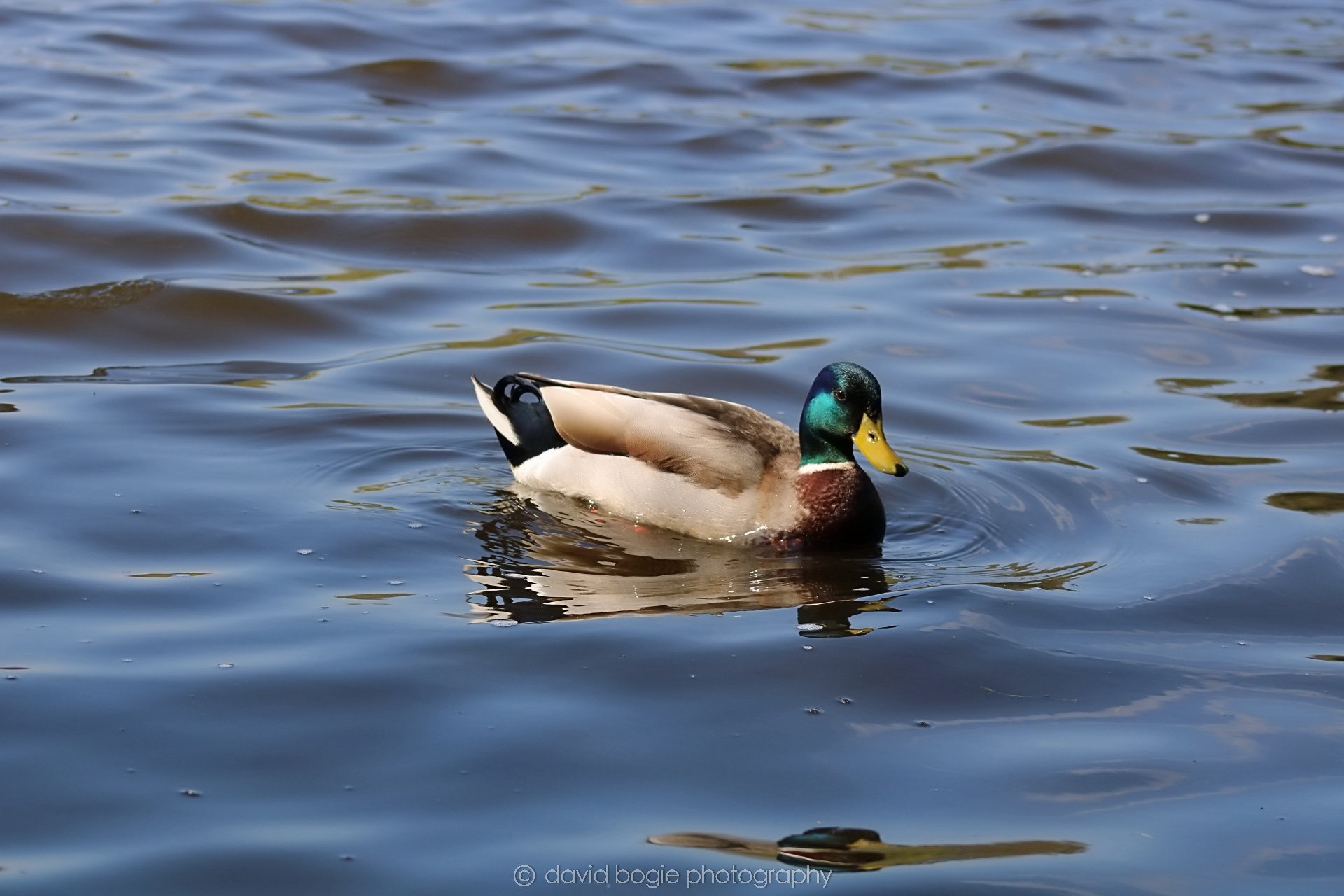20190411 112303 Otterston 0026.jpg