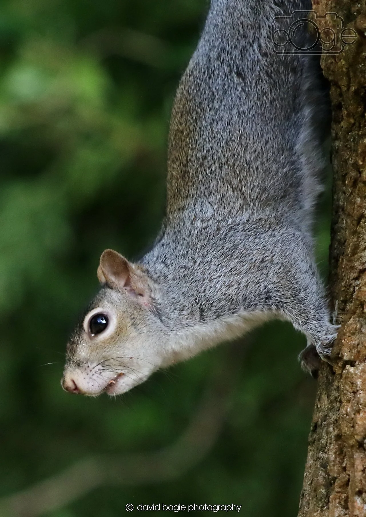 20260403 122212 Dunnikier 0184.jpg