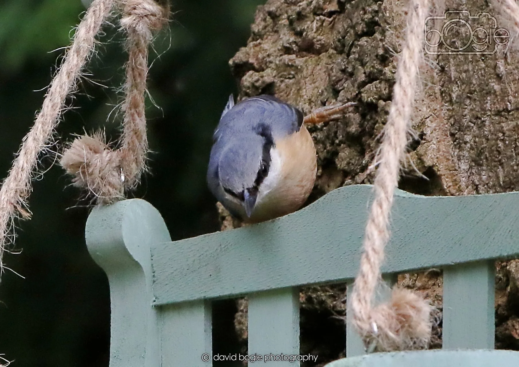 20260330 115930 Dunnikier 0317.jpg