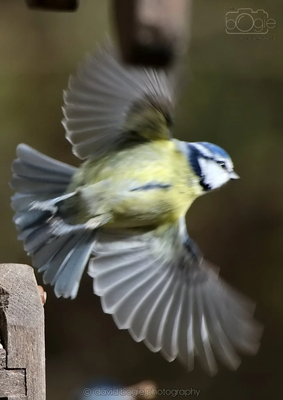 20260314 143724 Silverburn 0319.jpg