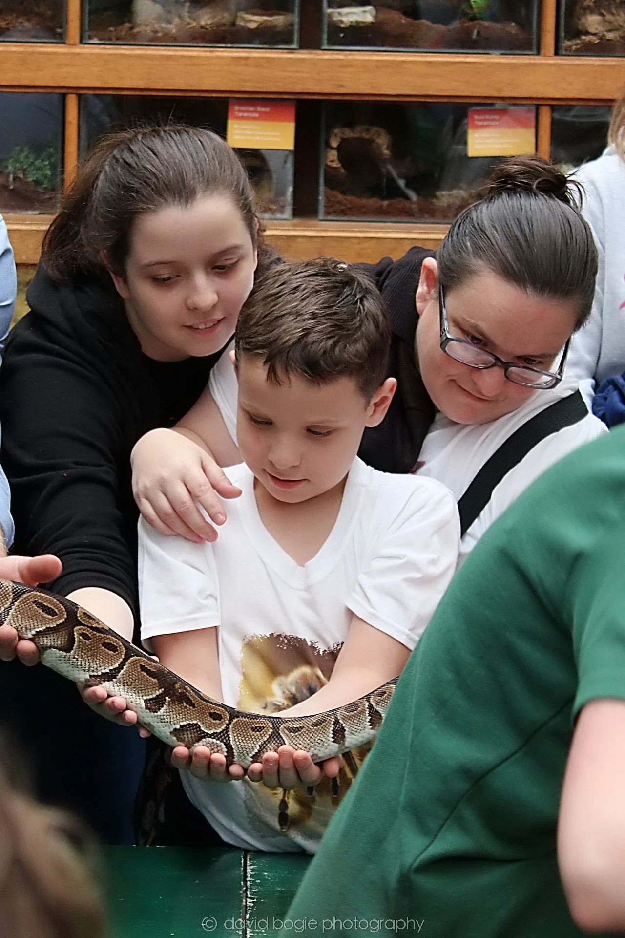 20191019 121459 Butterfly World 0004.jpg