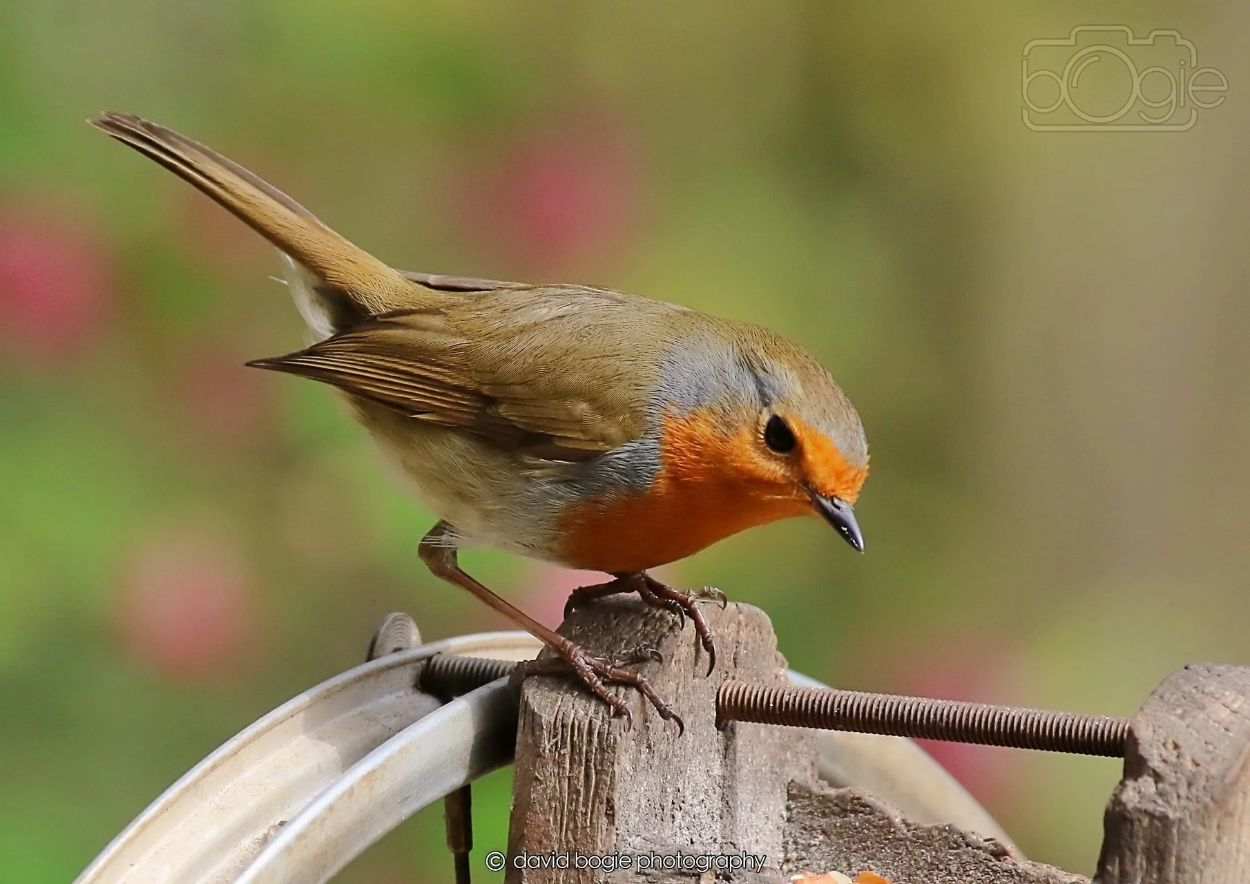 20260326 120851 Silverburn 0431.jpg