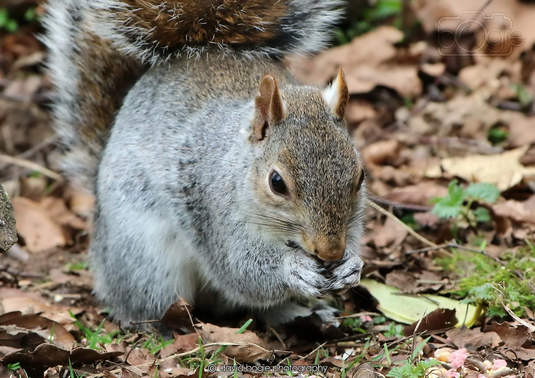 20260326 113946 Silverburn 0252.jpg