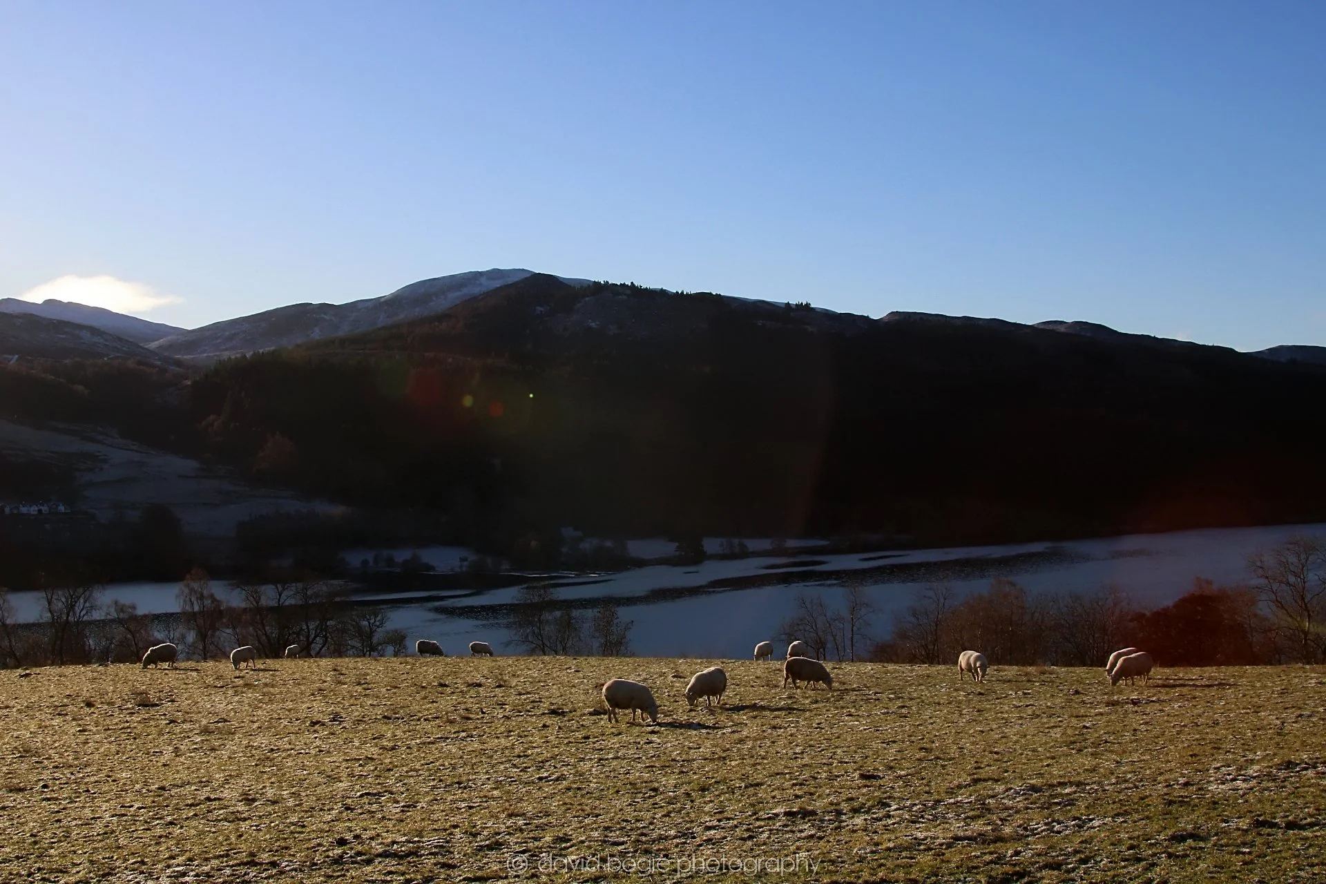 YEAR20221215 00044 Aberfeldy.jpg