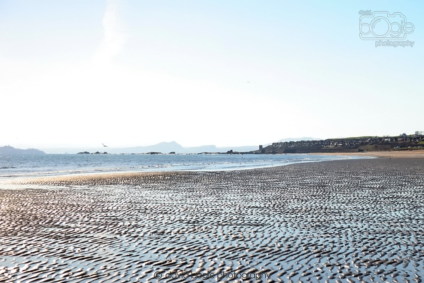 20260307 110731 Kirkcaldy 0005.jpg