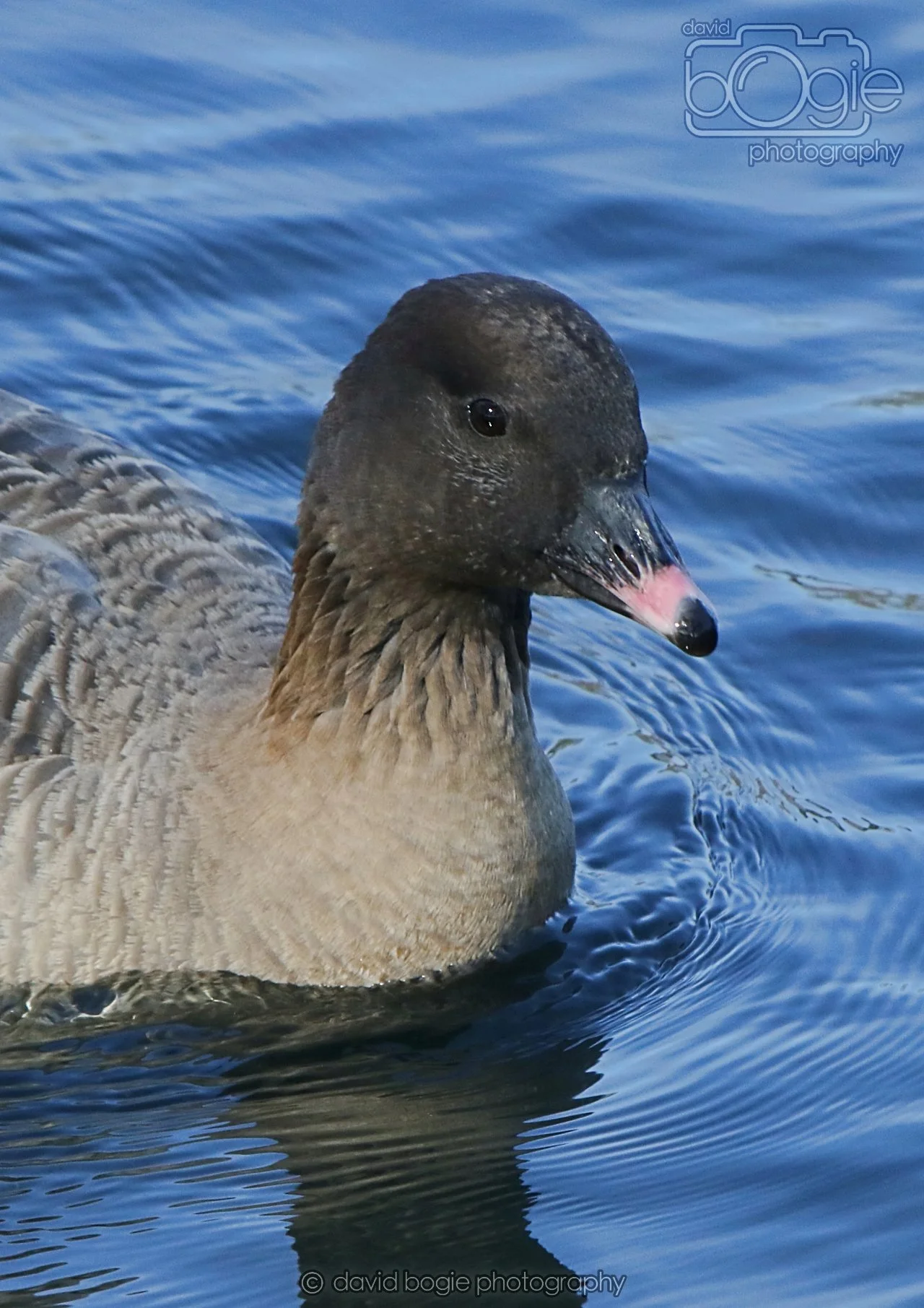 20260319 113159 Beveridge Park 0101.jpg