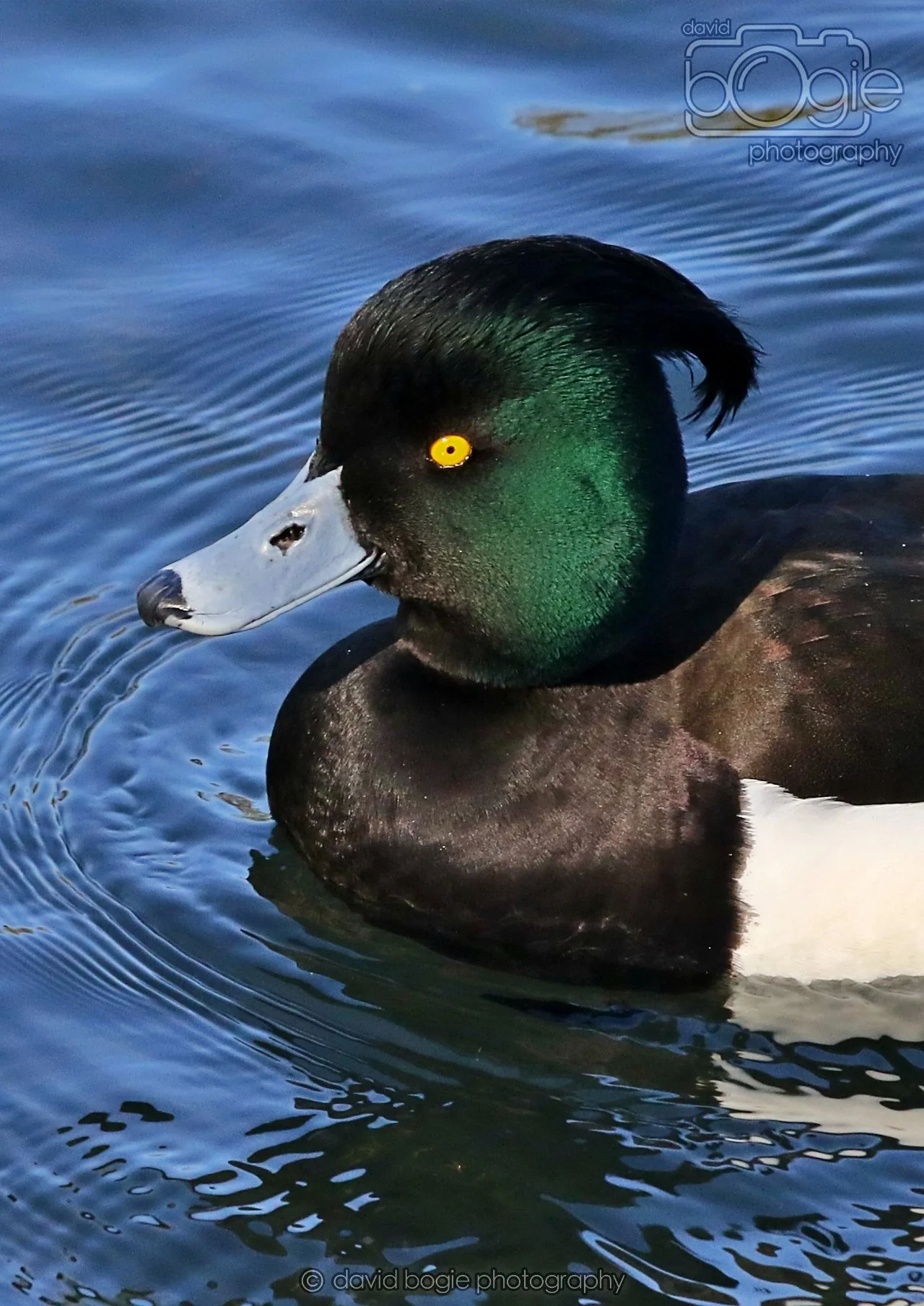 20260319 113108 Beveridge Park 0089.jpg