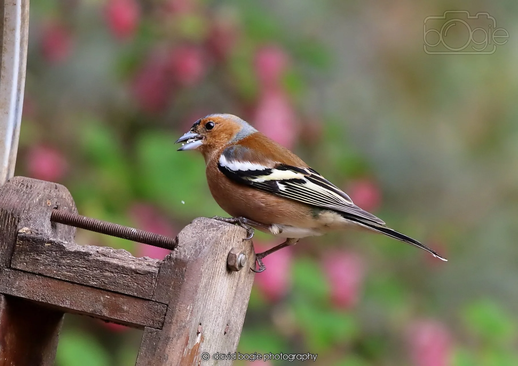 20260326 120346 Silverburn 0363.jpg