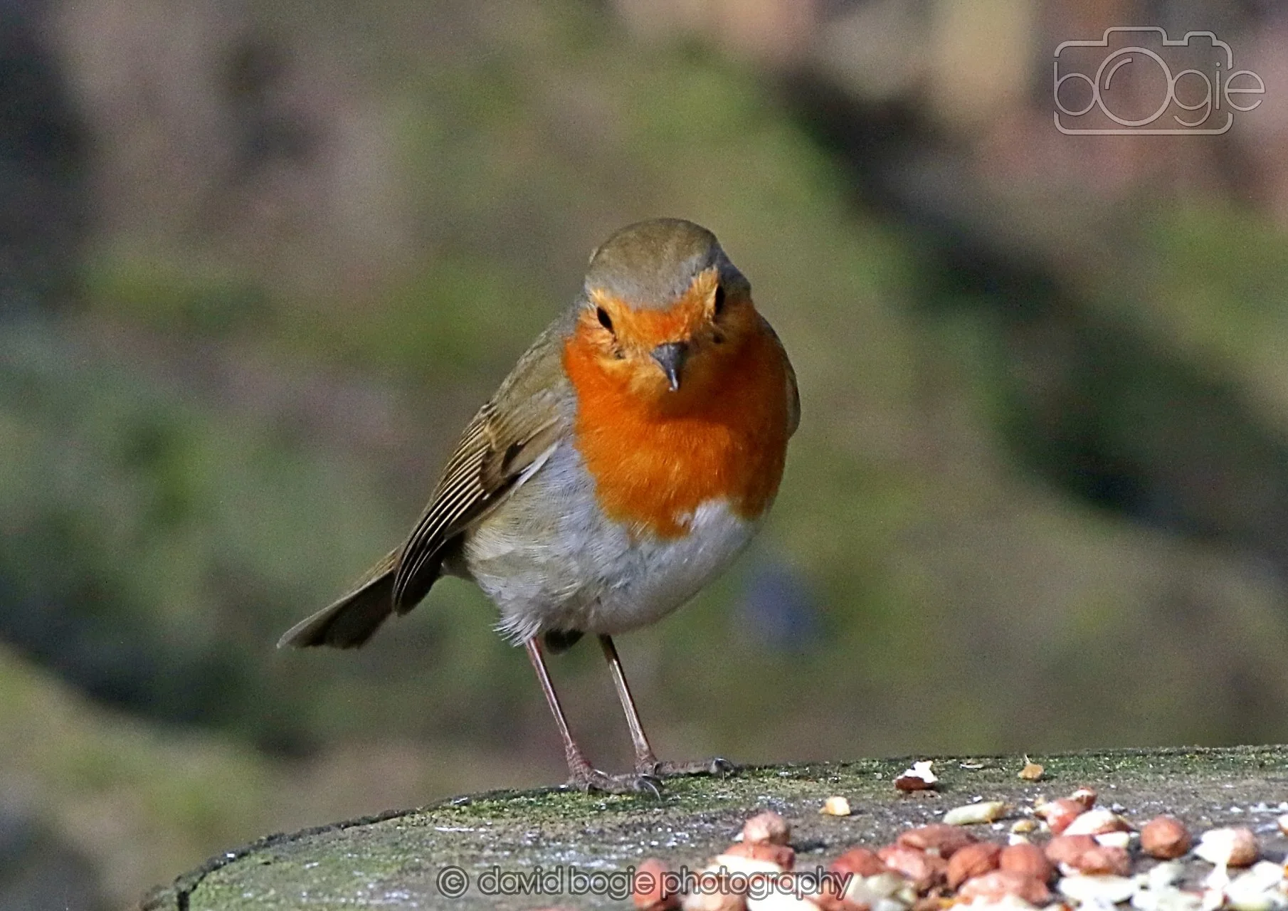 20260322 151637 Dunnikier 0324.jpg