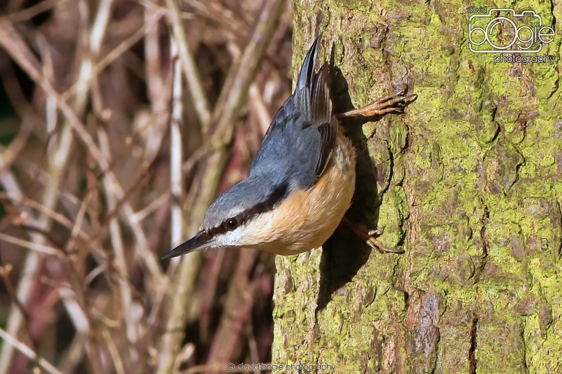 20260128 134208 Dunnikier 0262.JPG