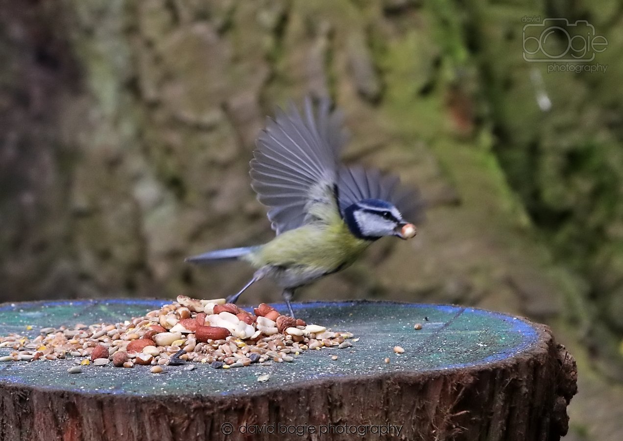 20260309 113331 Dunnikier 0199.jpg