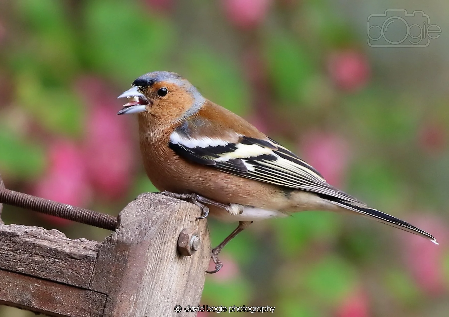 20260326 120405 Silverburn 0374.jpg