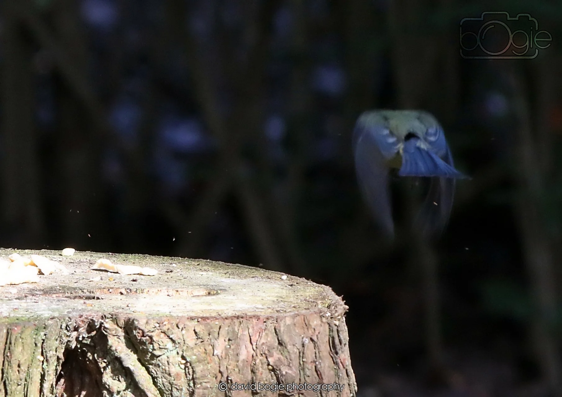 20260330 115244 Dunnikier 0252.jpg