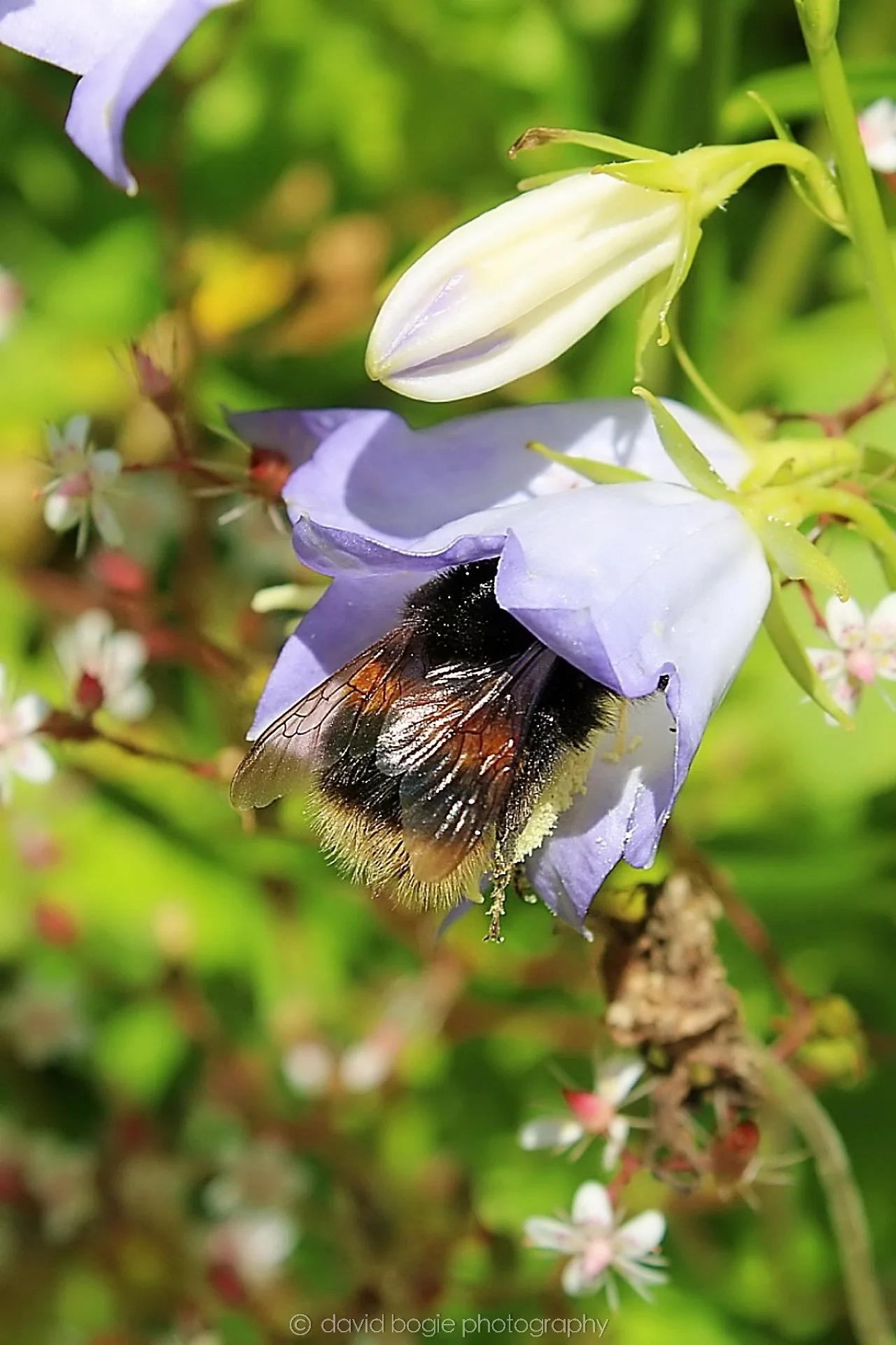 20190620 162332 Kirkcaldy 0023.jpg