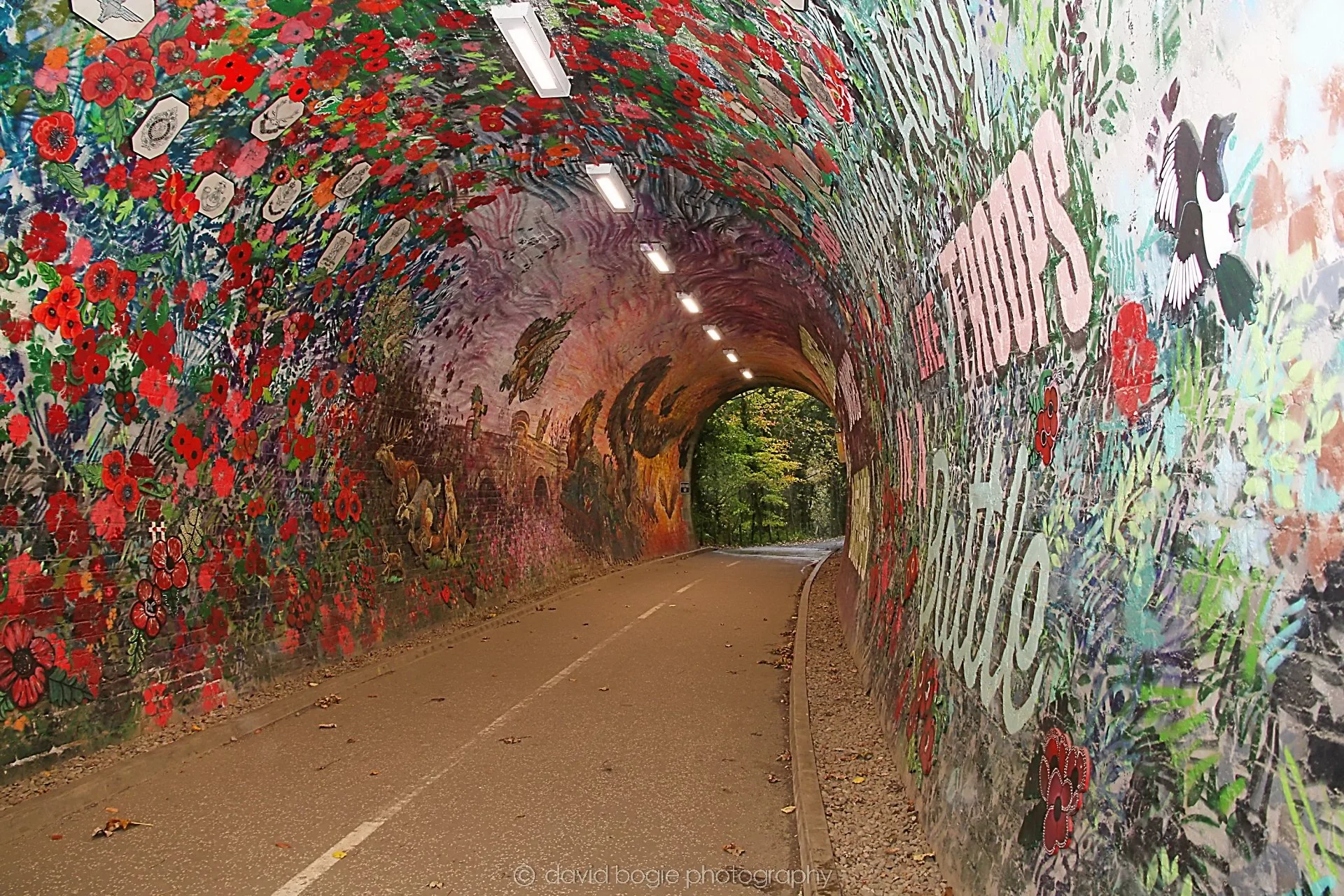 YEAR20221102 142712 Colinton Tunnel 0042.jpg