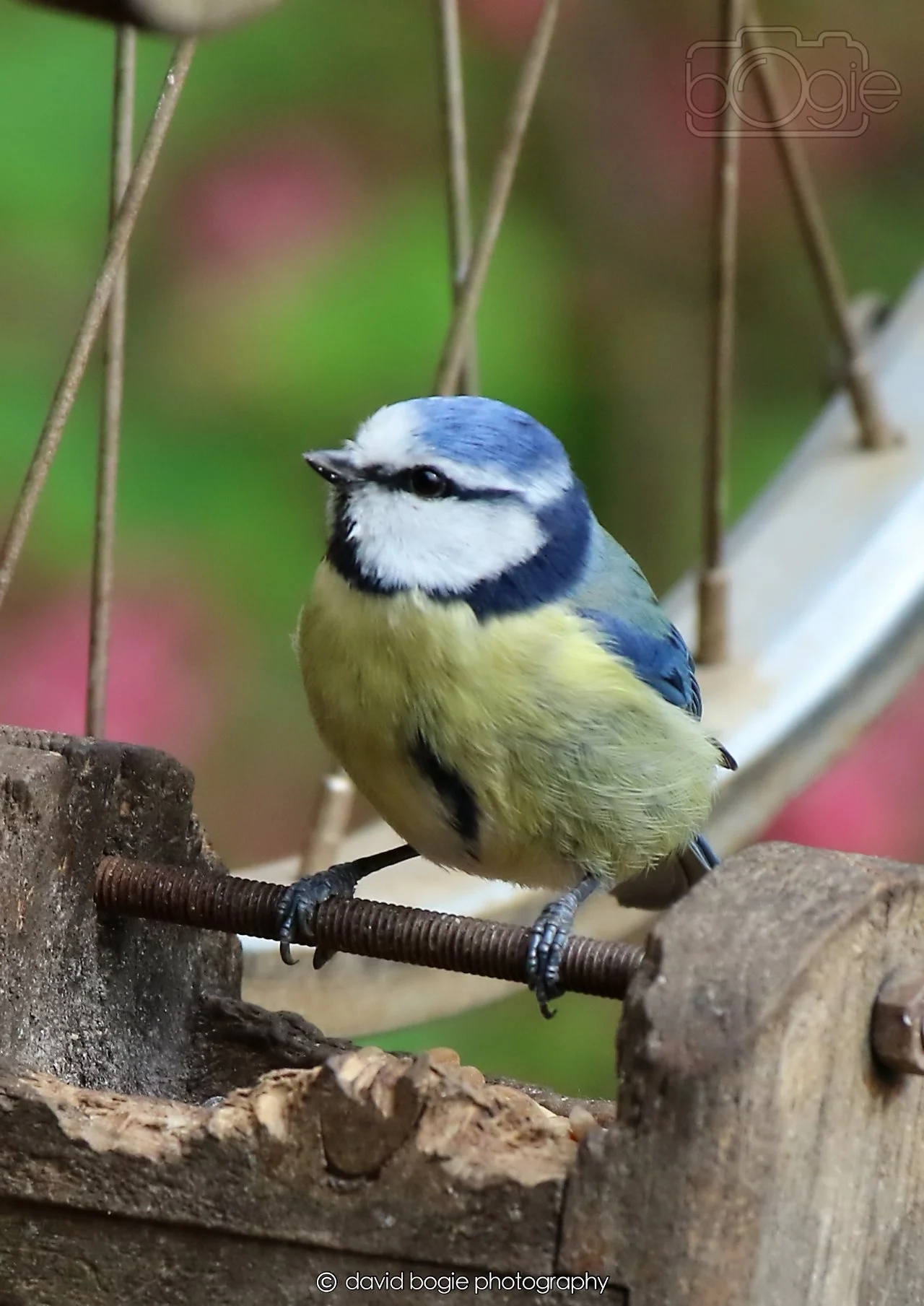 20260326 115502 Silverburn 0293.jpg