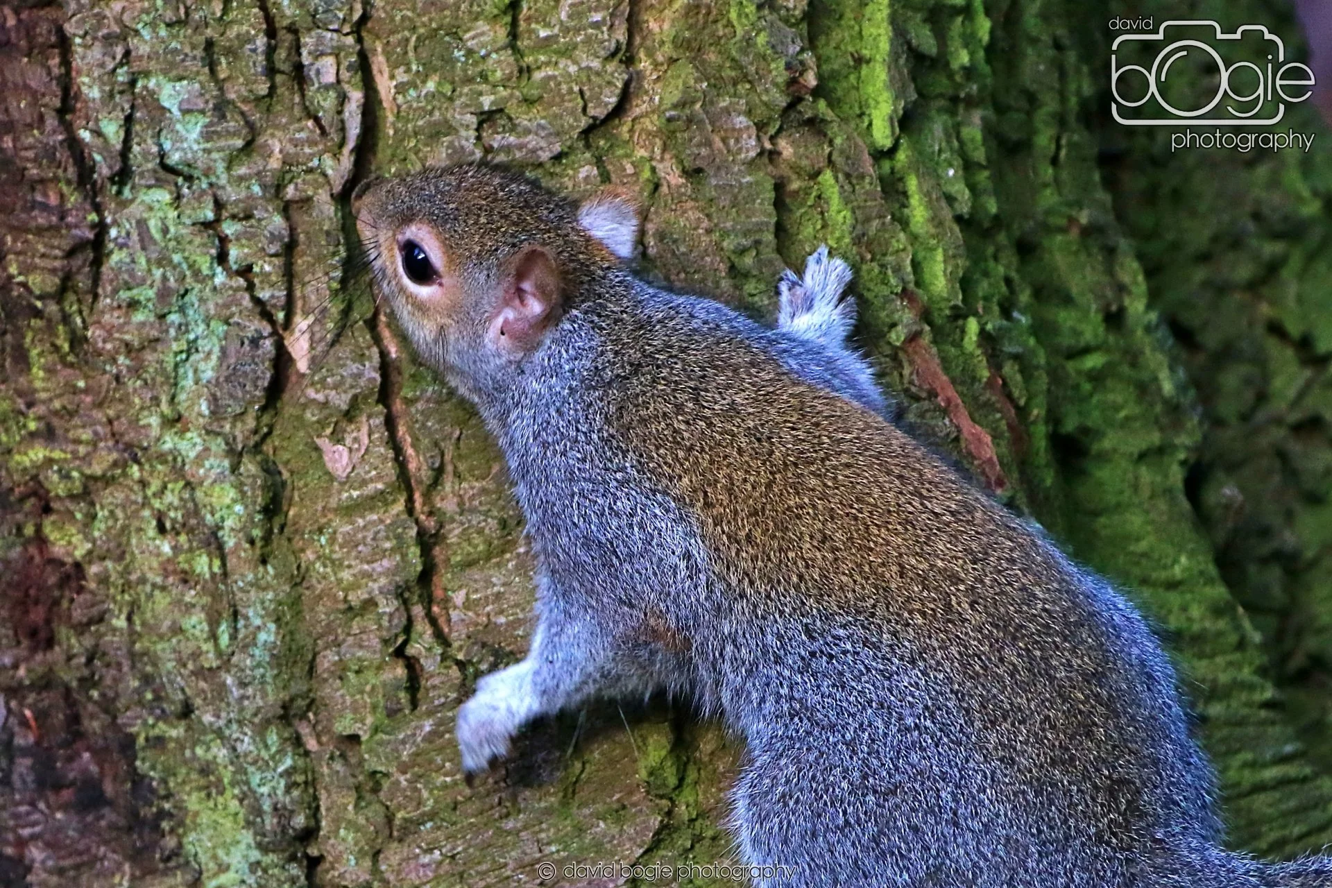 20260128 142554 Dunnikier 0366.JPG