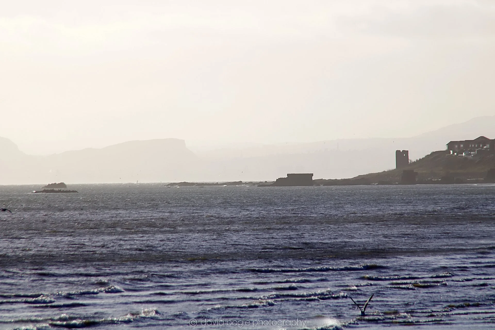 YEAR20221125 Kirkcaldy 16 .jpg