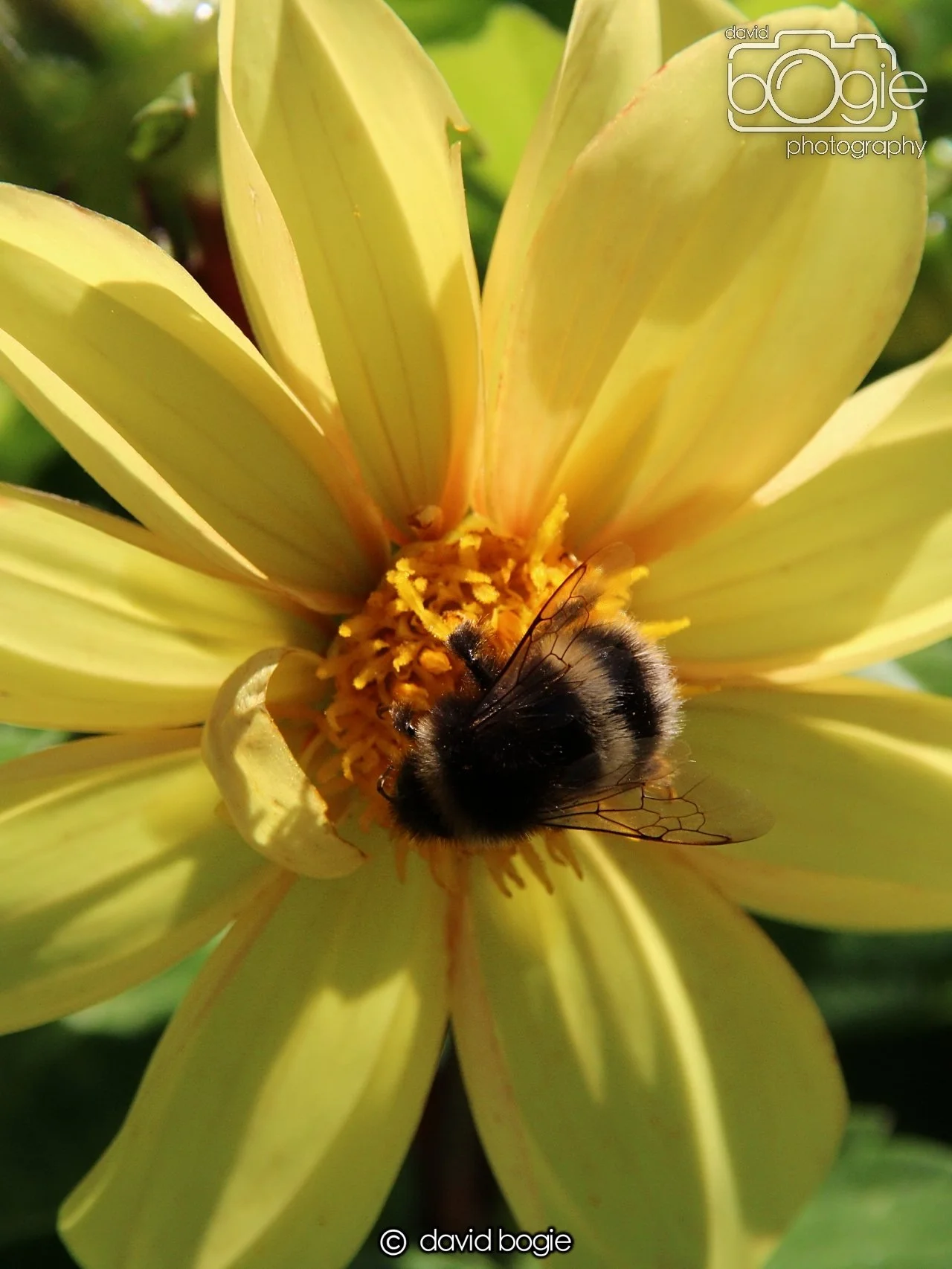 20240918 114718 Beveridge 0148 (1).JPG