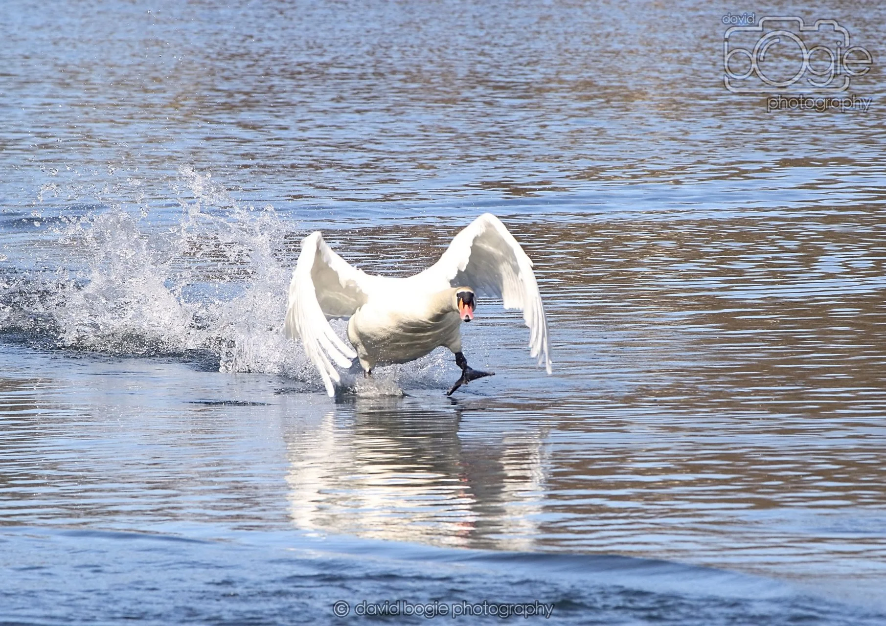 20260319 113009 Beveridge Park 0057.jpg