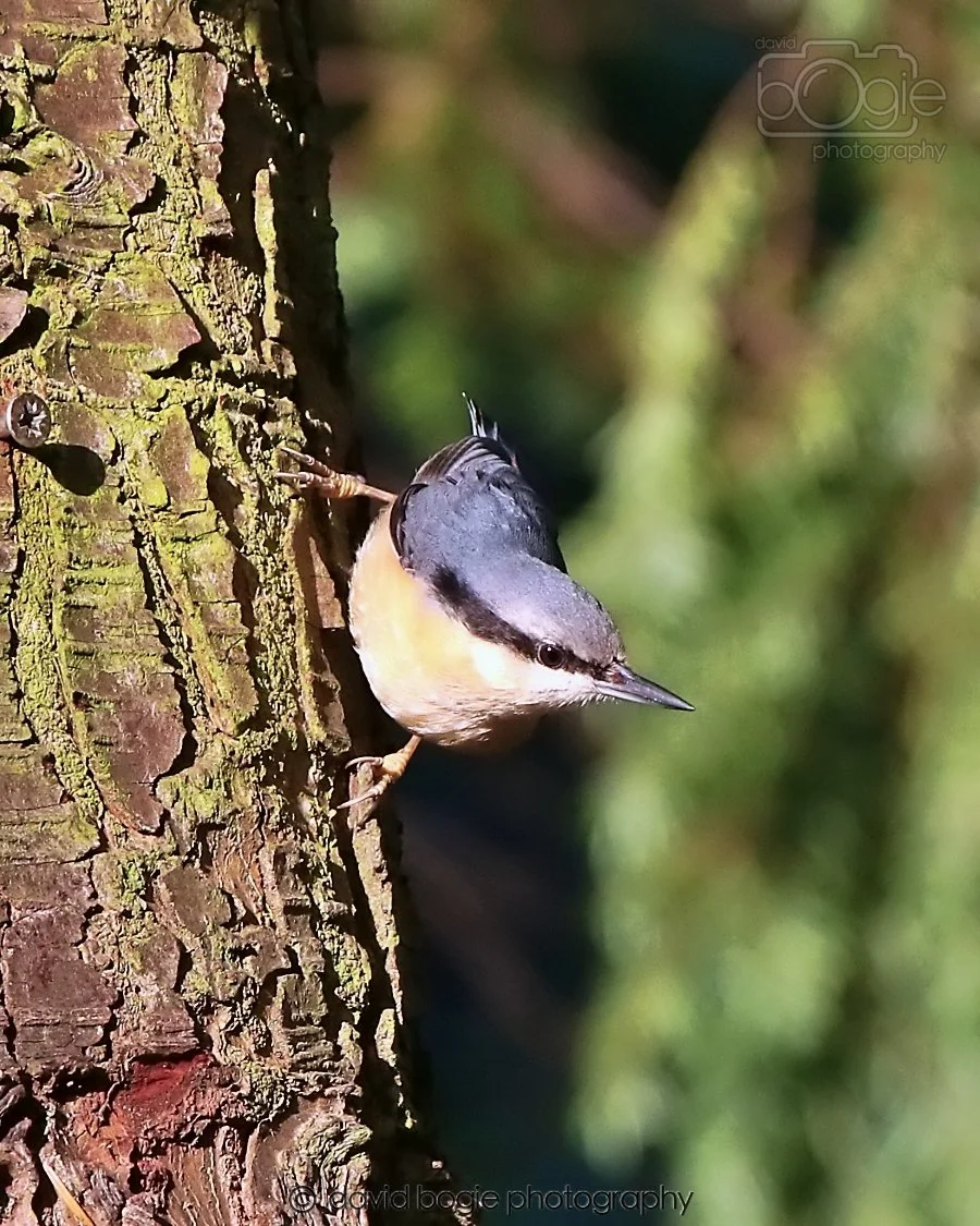 20260128 134602 Dunnikier 0283.jpg