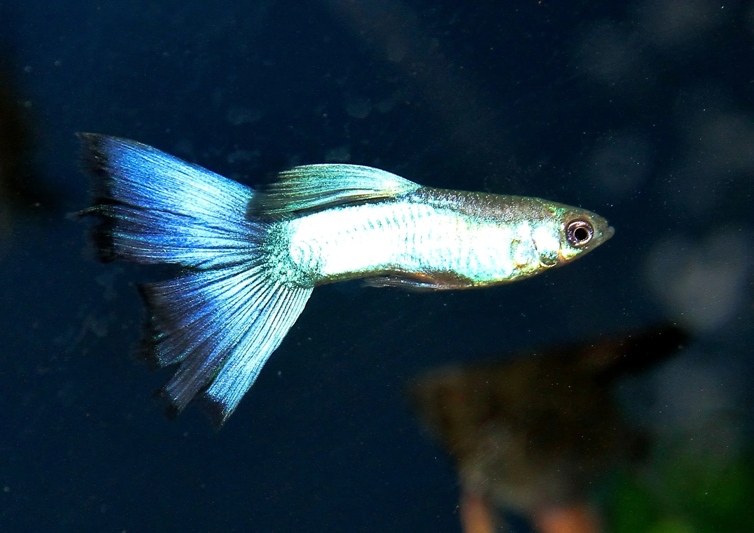 20260331 112103 K&S 0505.jpg