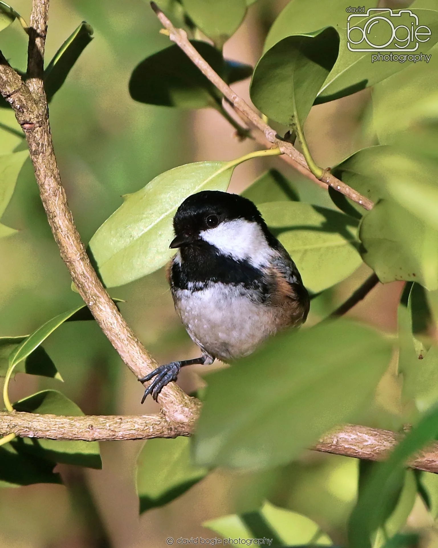 20260128 134730 Dunnikier 0295.JPG