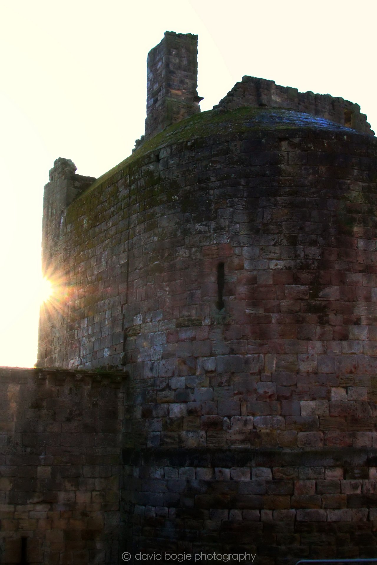 YEAR20221212 Ravenscraig 00004.jpg