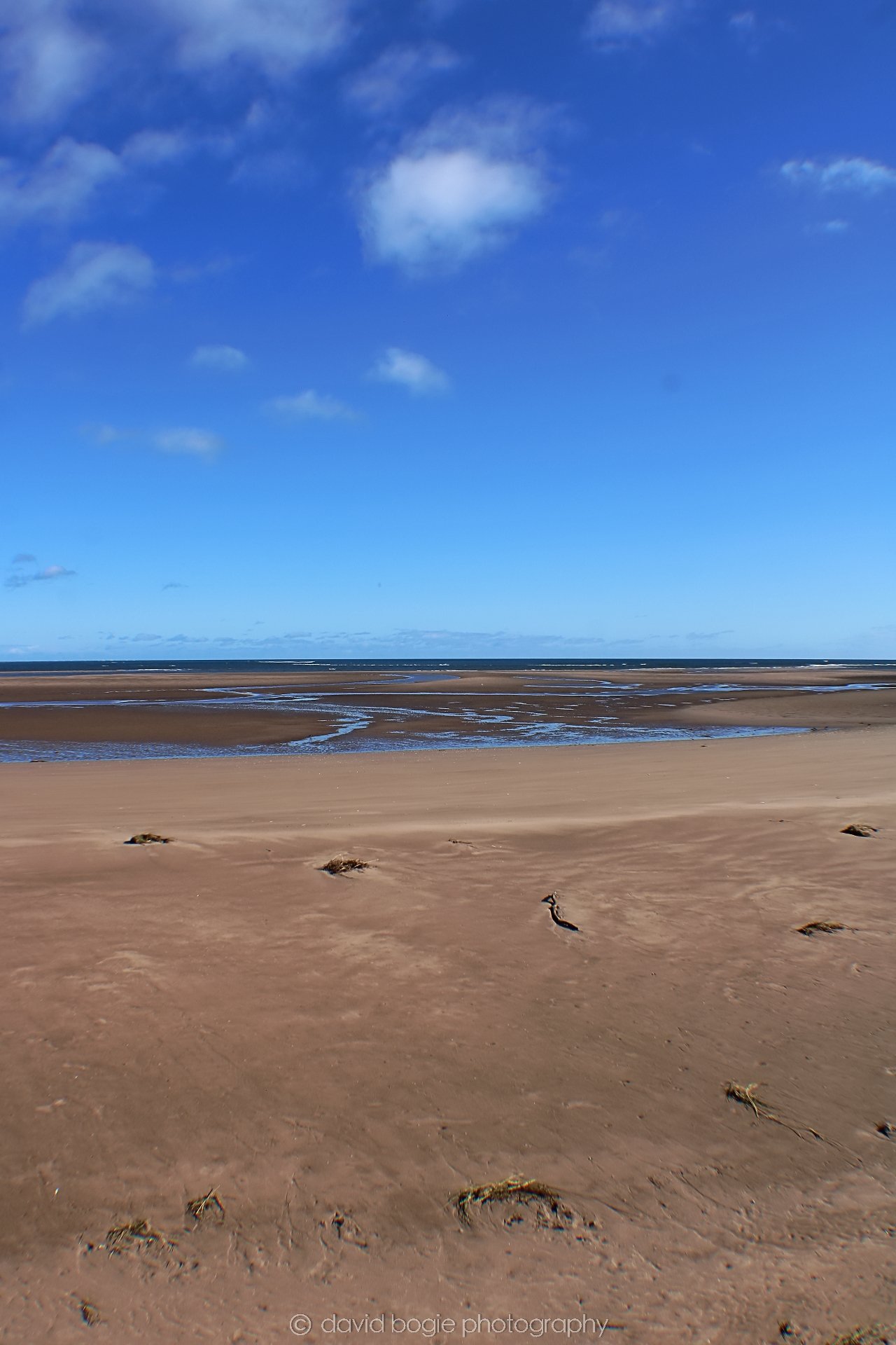 20191002 133021 Tentsmuir 0020.jpg
