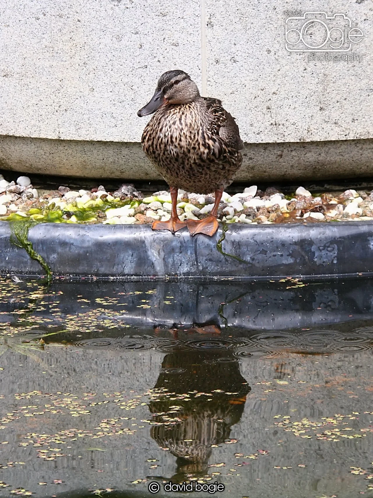 20240722 133440 Beveridge 0088.JPG