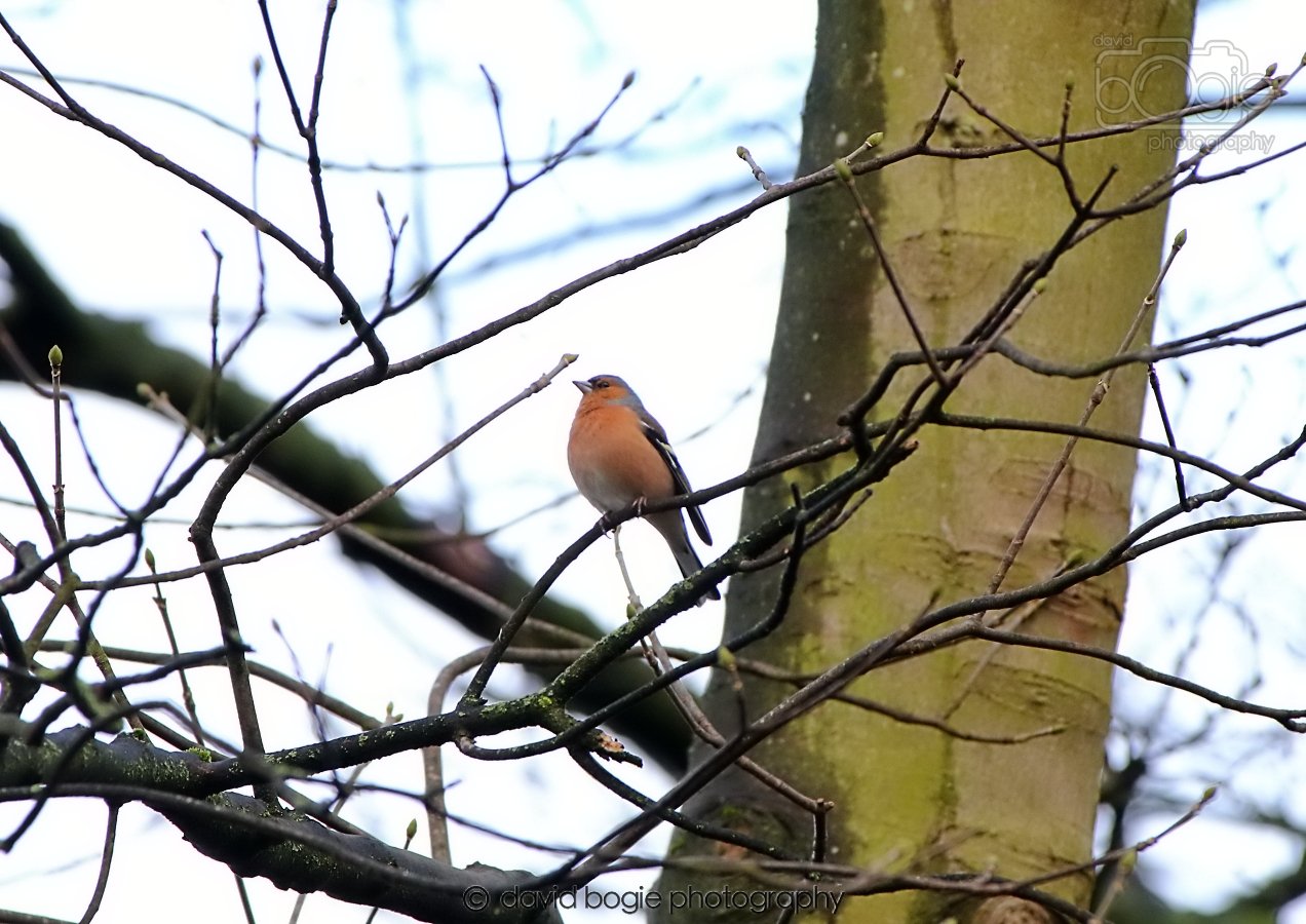 20260306 091333 Dunnikier 0058.jpg