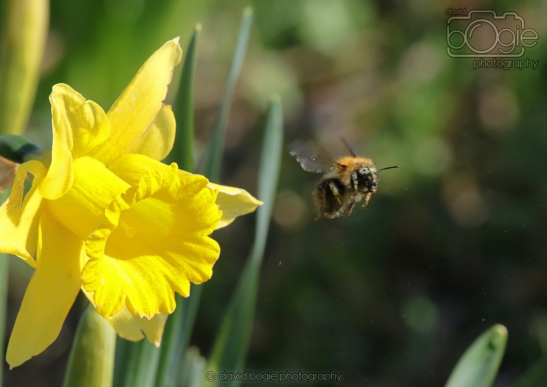 20260319 115453 Beveridge Park 0216.jpg