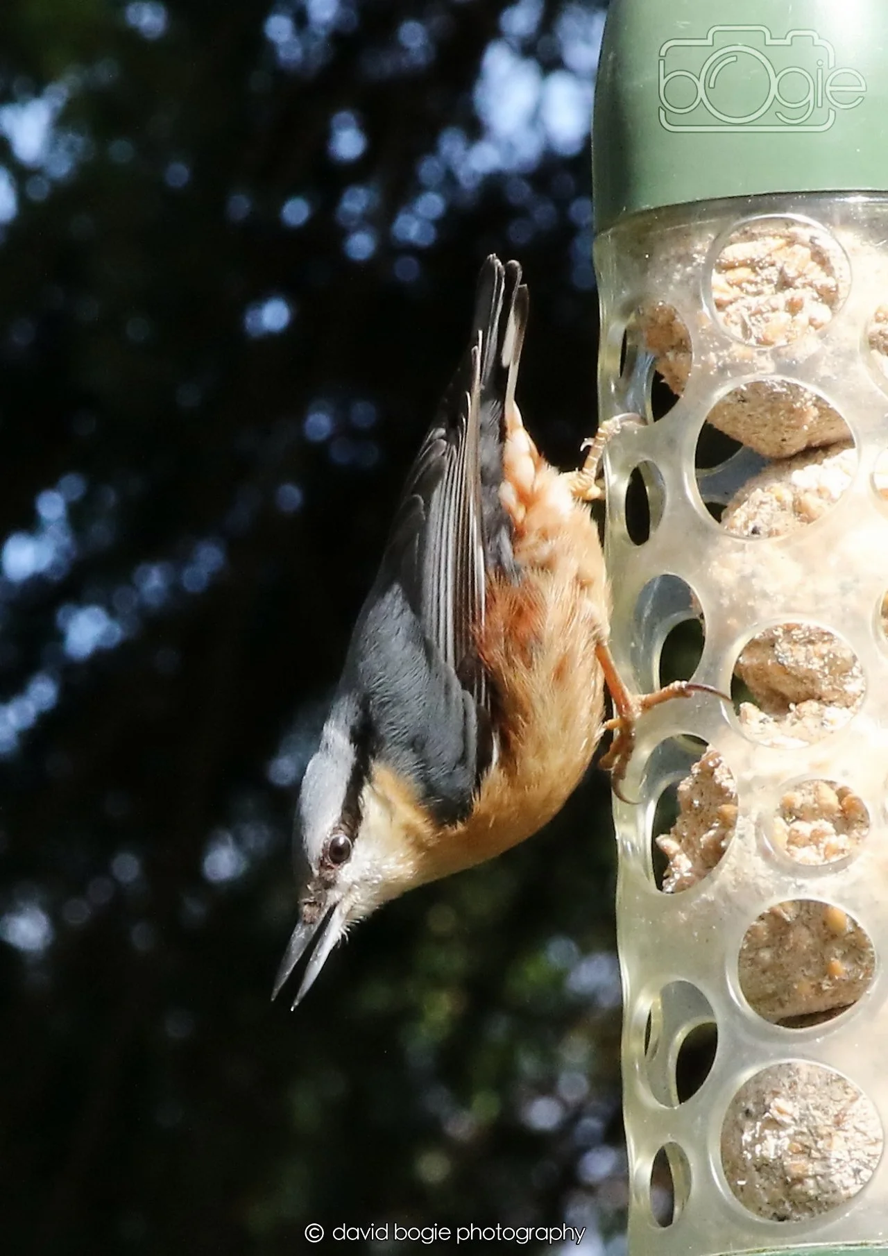 20260330 115205 Dunnikier 0239.jpg