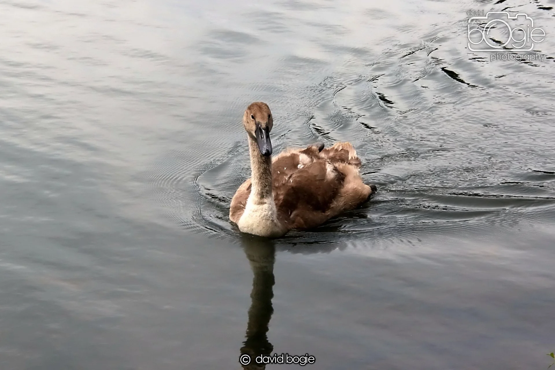 20250721 124001 Beveridge Park 0213.JPG