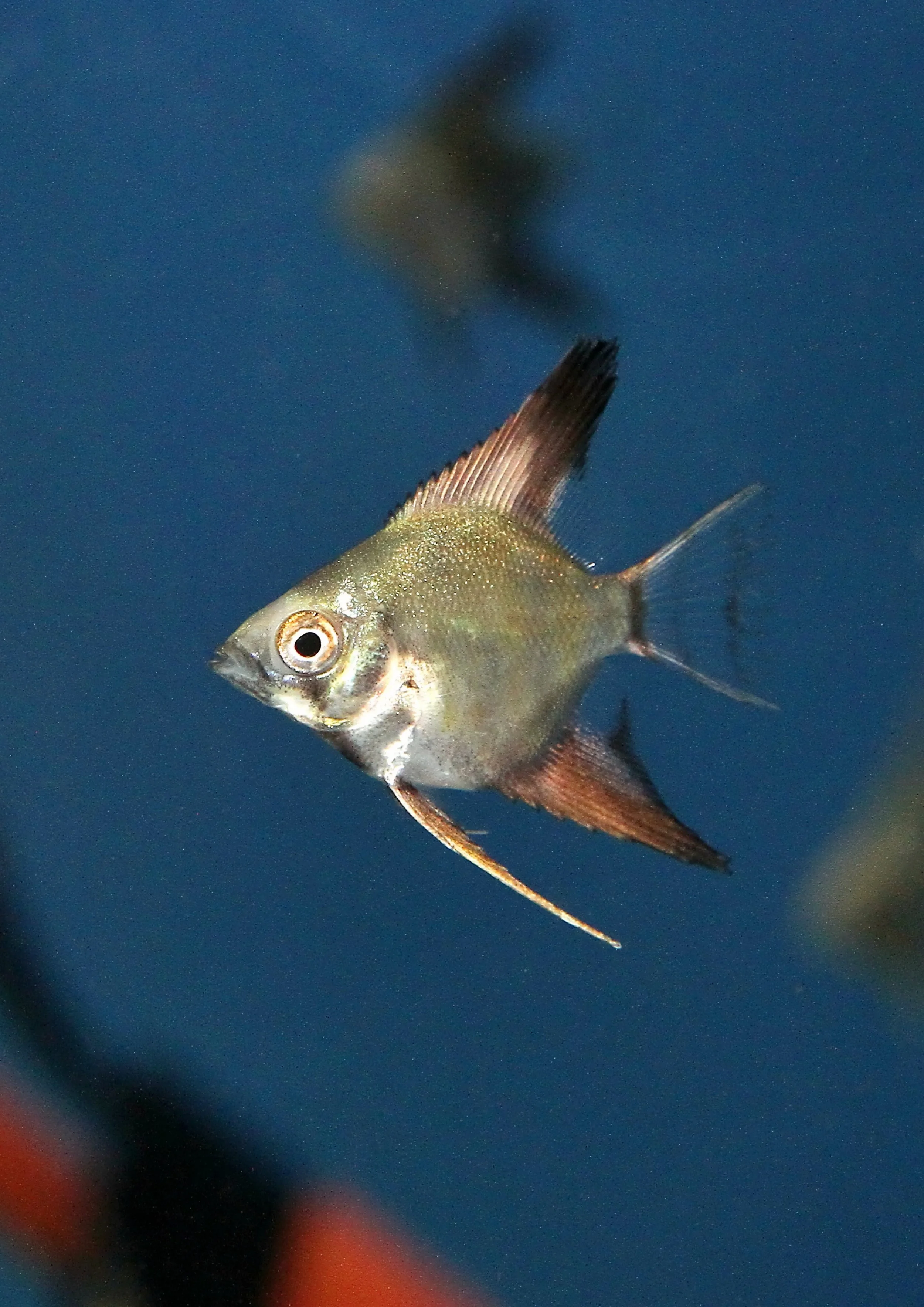 20260331 112014 K&S 0498.jpg