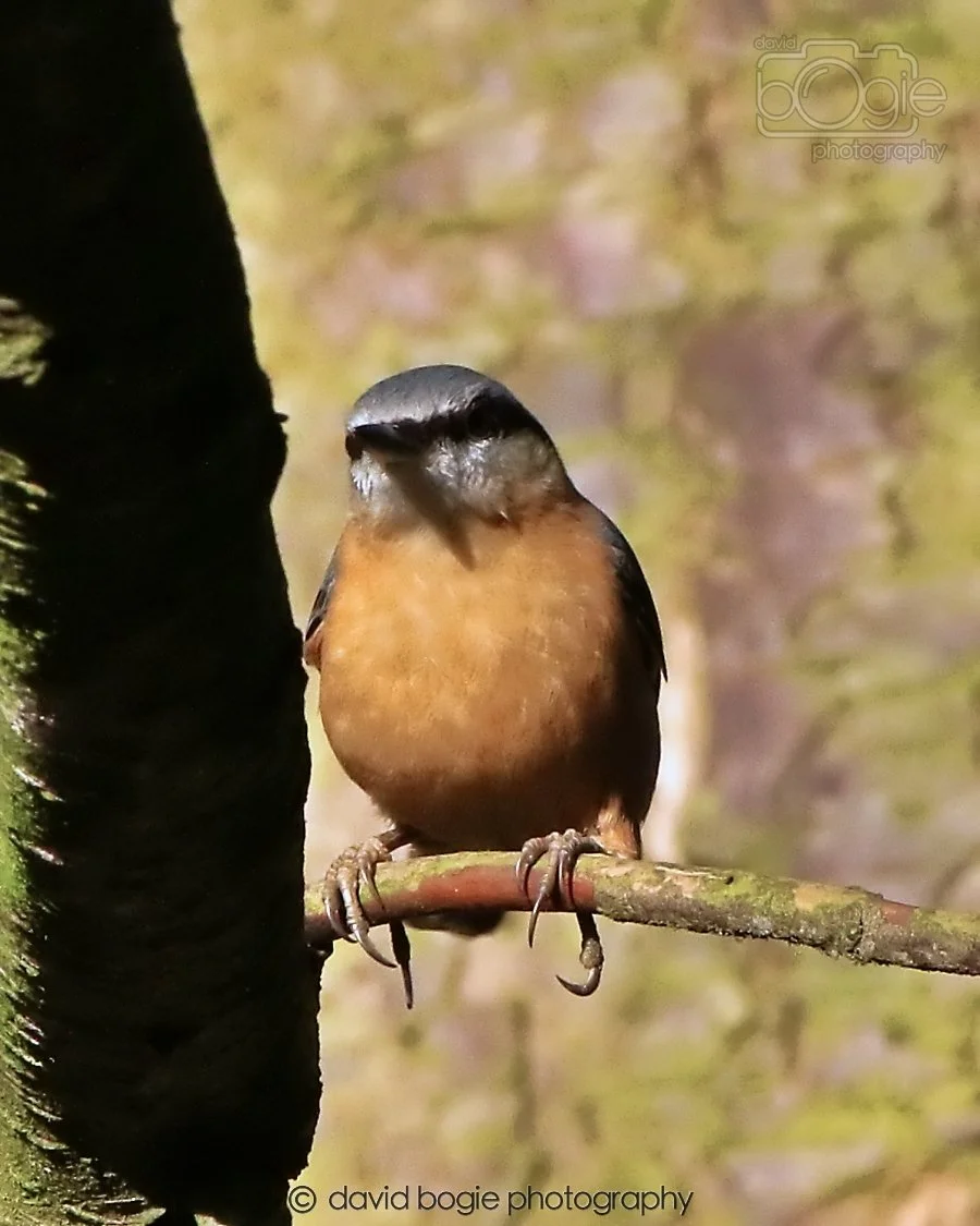 20260128 133358 Dunnikier 0211.jpg