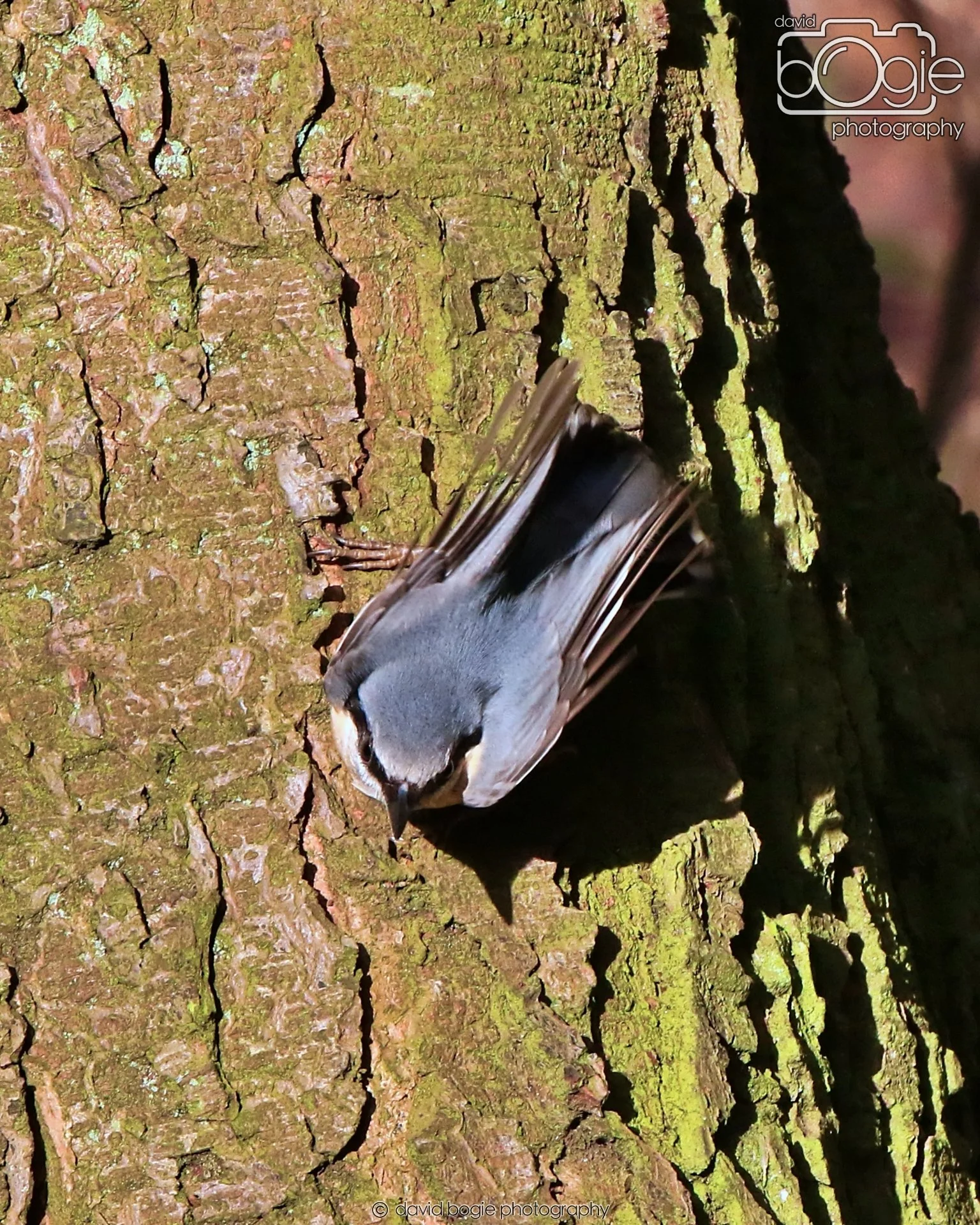 20260128 132744 Dunnikier 0193.JPG