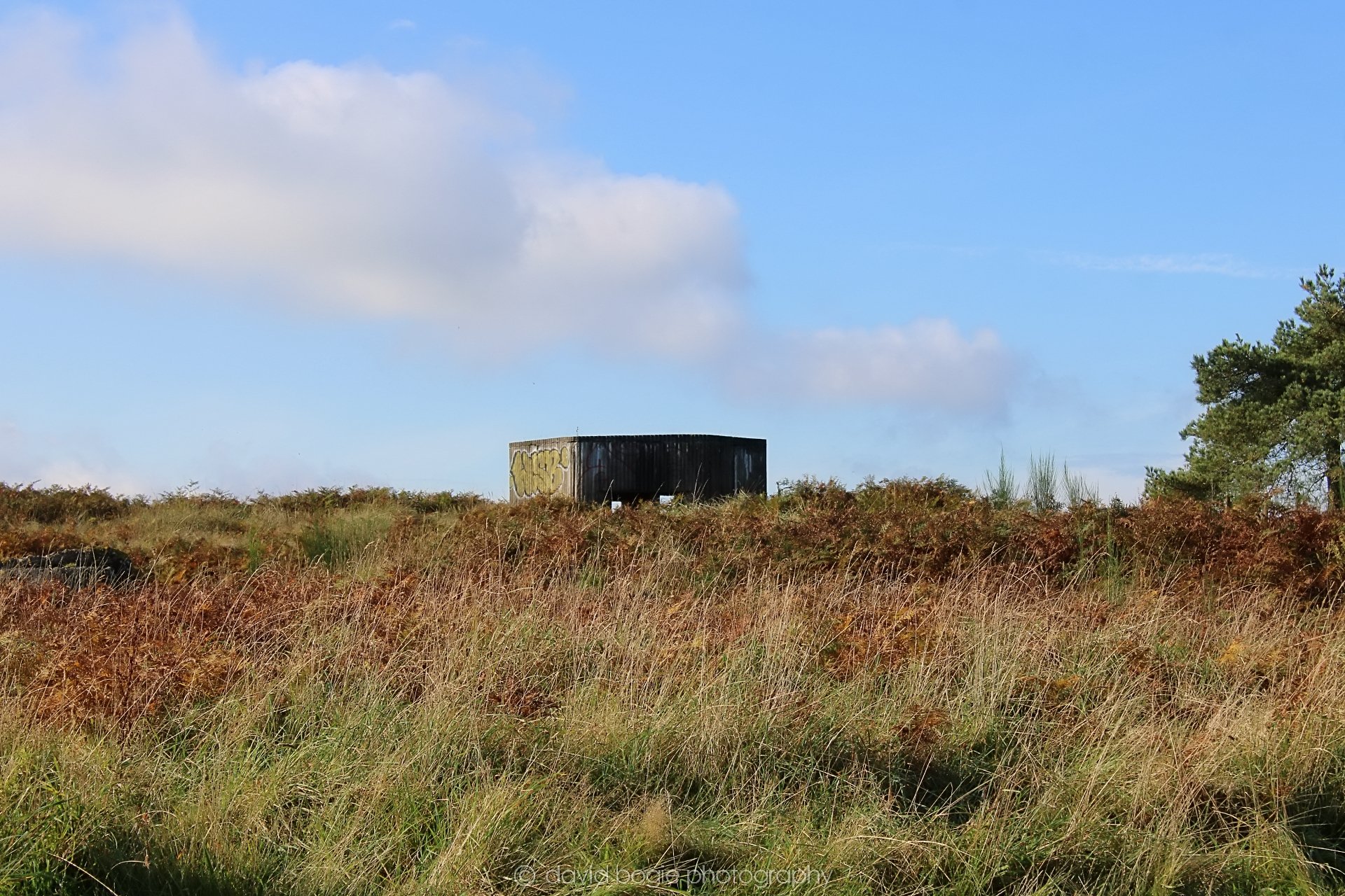 20191014 115150 Tentsmuir 0035.jpg