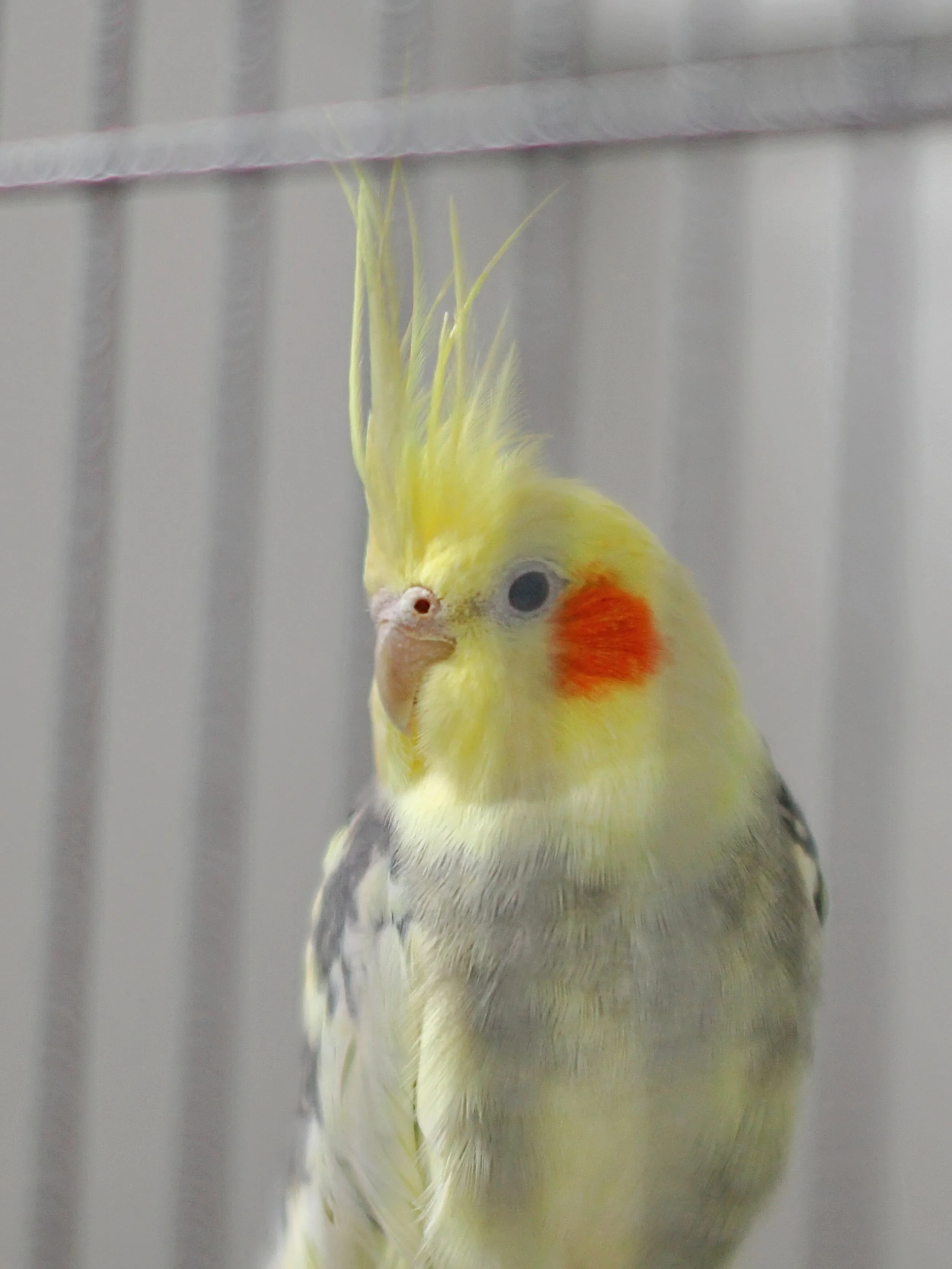 20251117 124530 IMG_0019.JPG