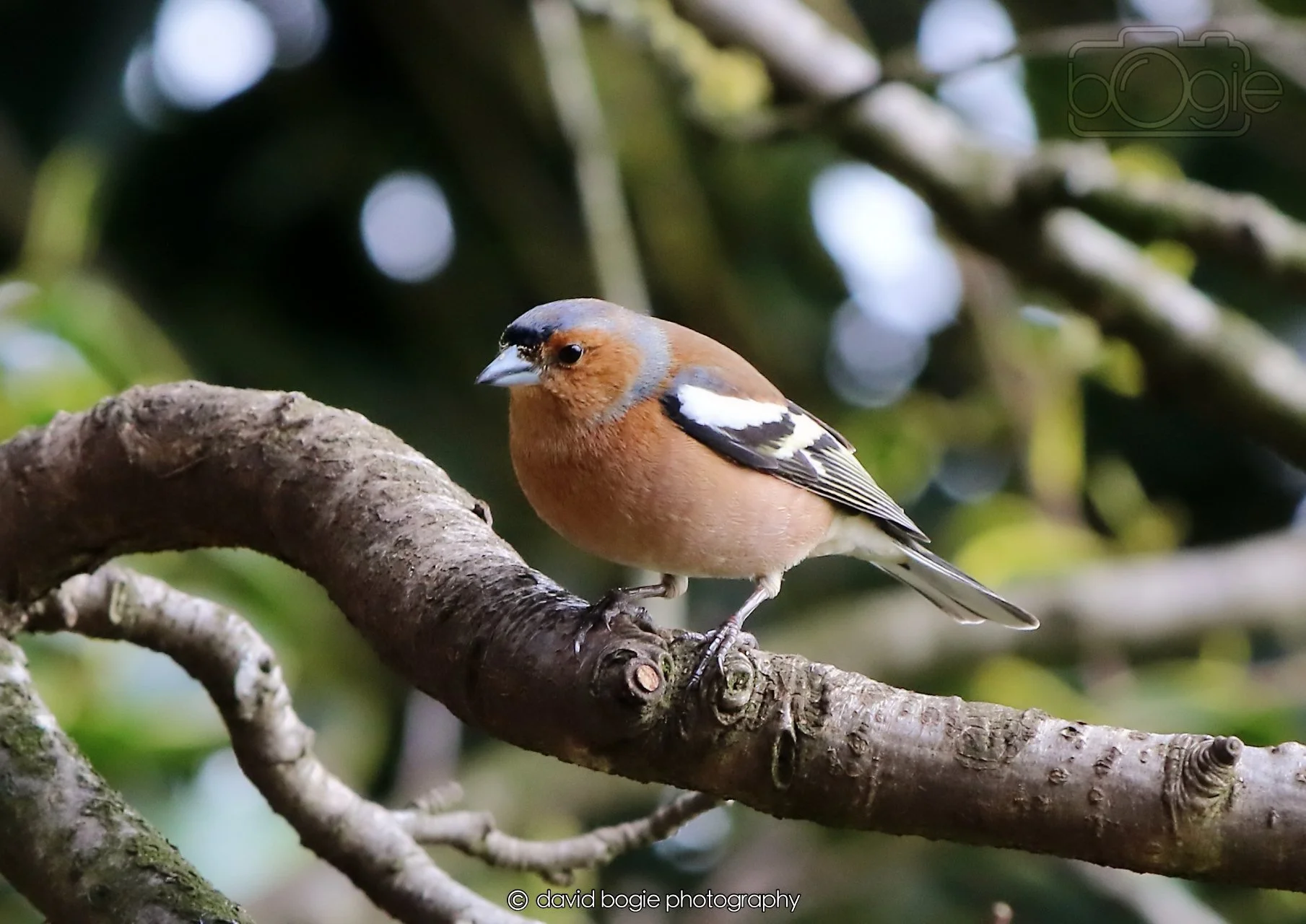 20260326 120338 Silverburn 0352.jpg