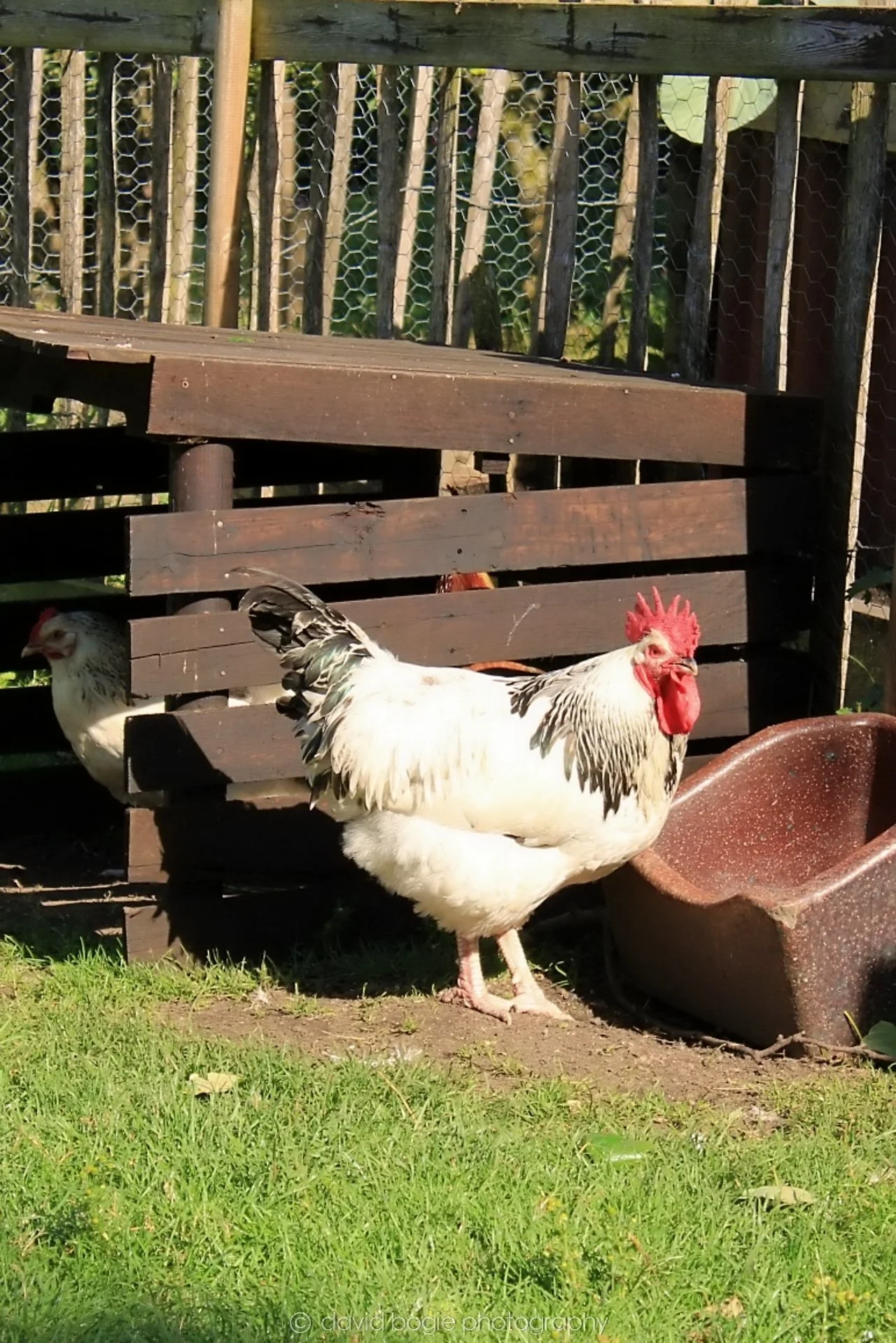 20190722 162723 Beamish .jpg