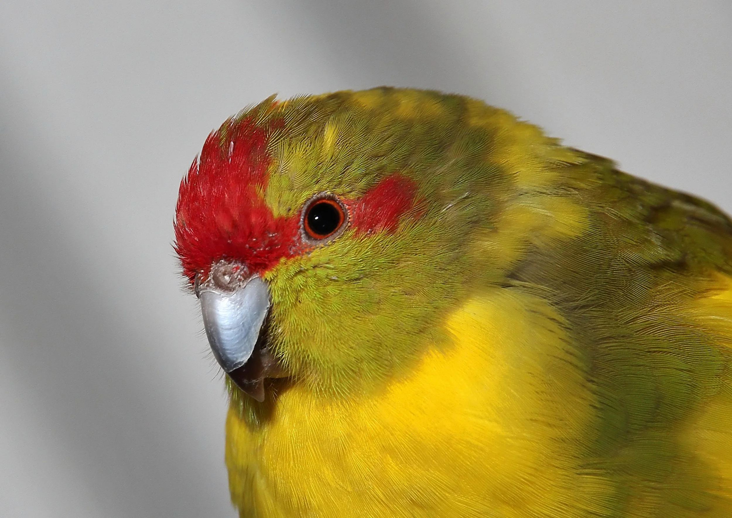 20260331 104048 K&S 0298.jpg