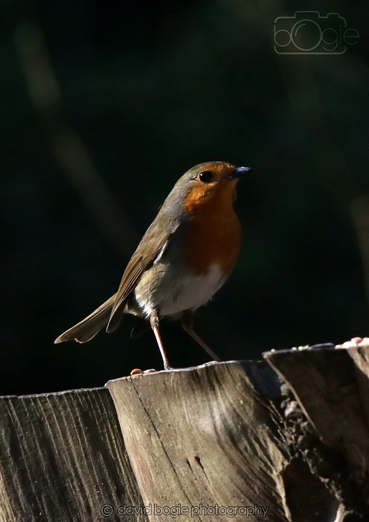 20260320 152420 Ravenscraig 0511.jpg