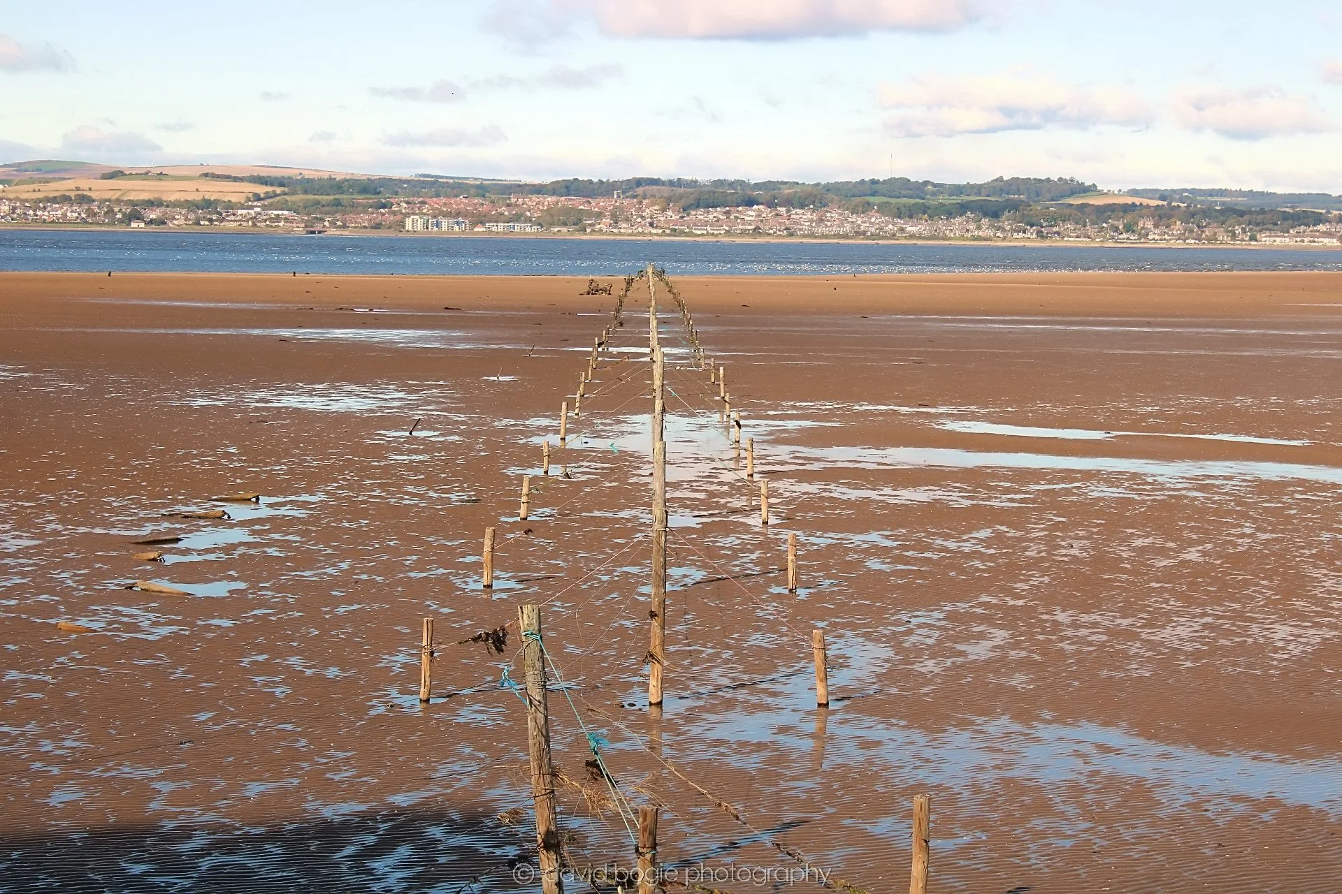 20191002 141755 Tentsmuir 0028.jpg