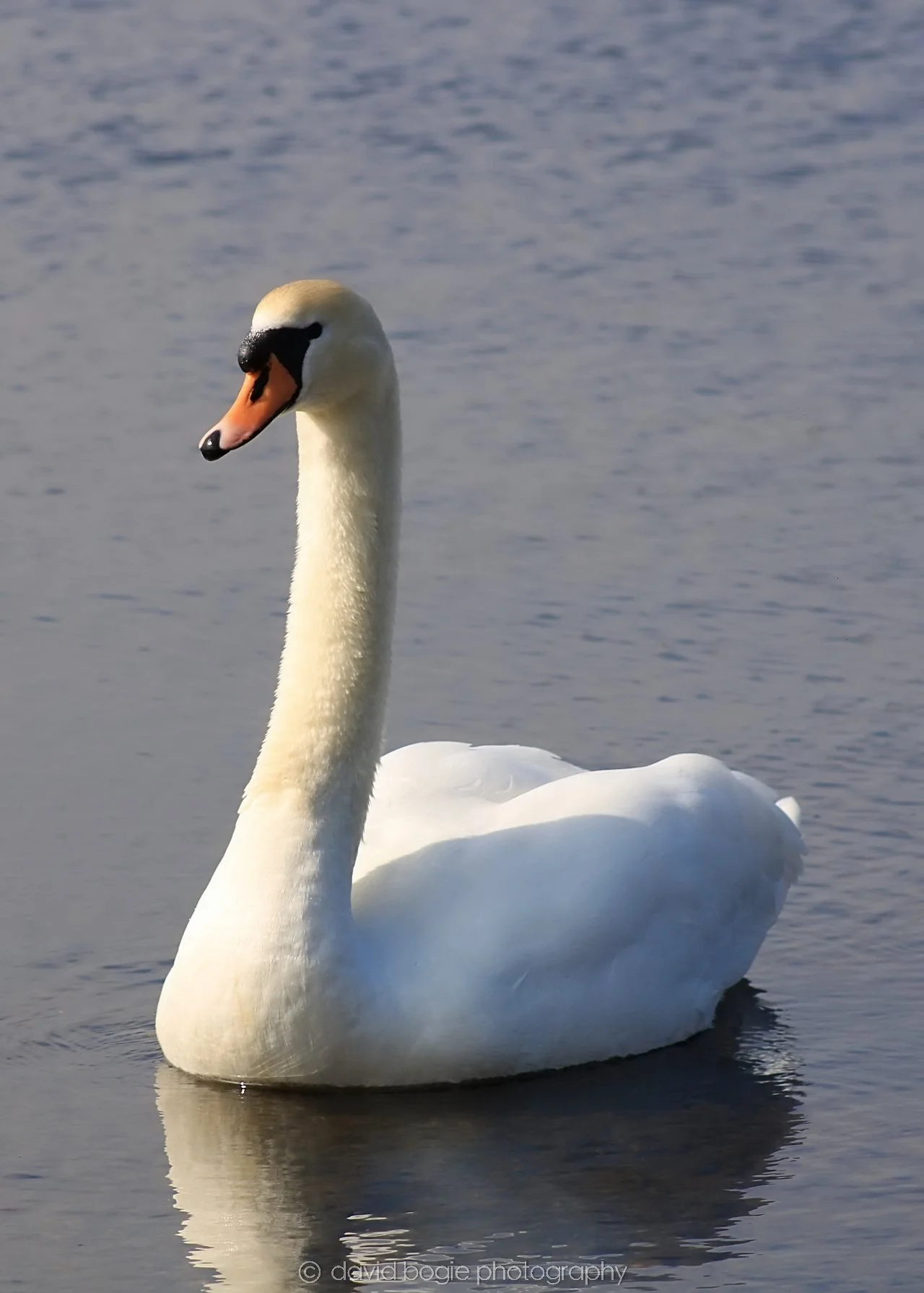 20190405 131523 Lochore 0029.jpg