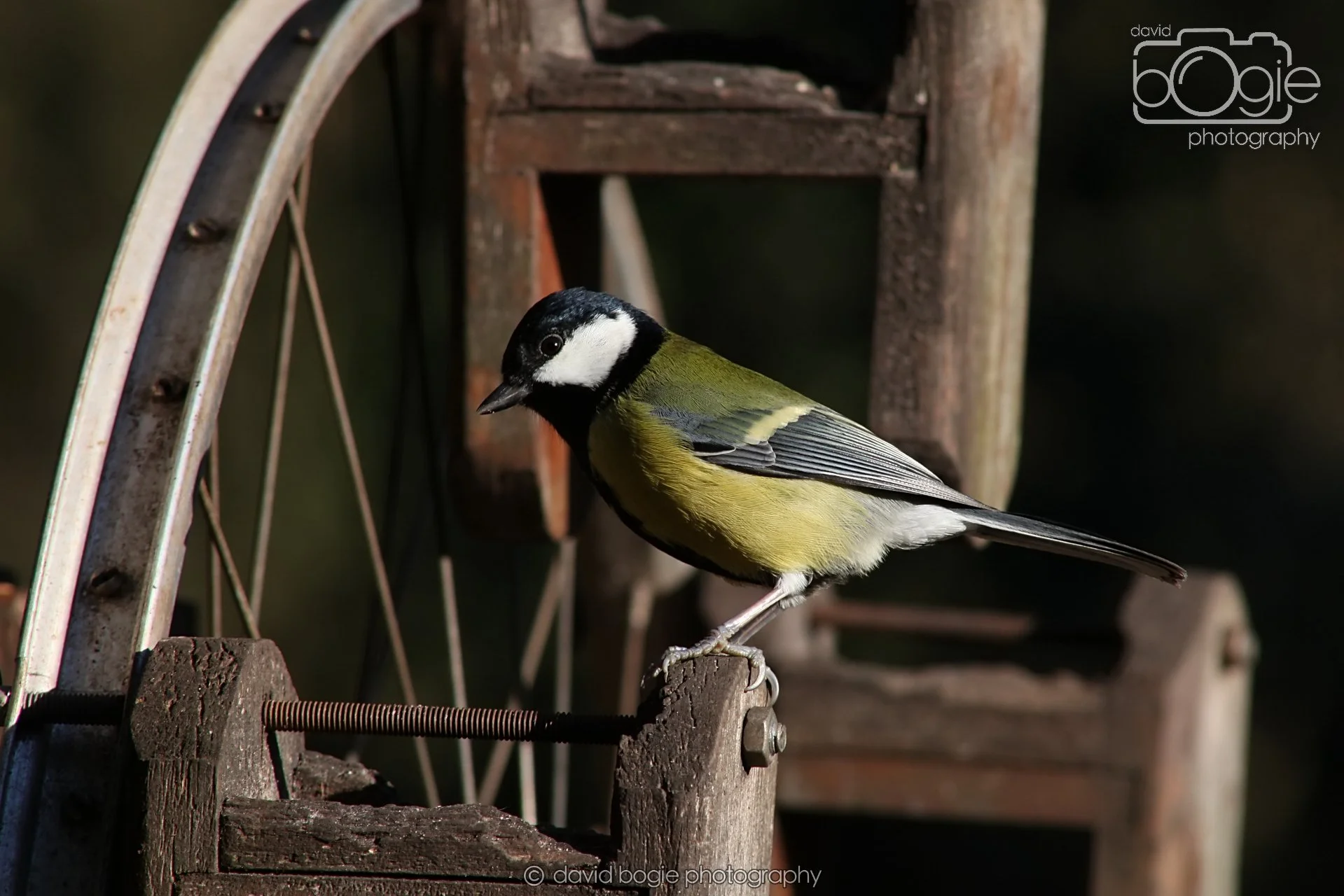 20251125 133820 Silverburn 0107.JPG