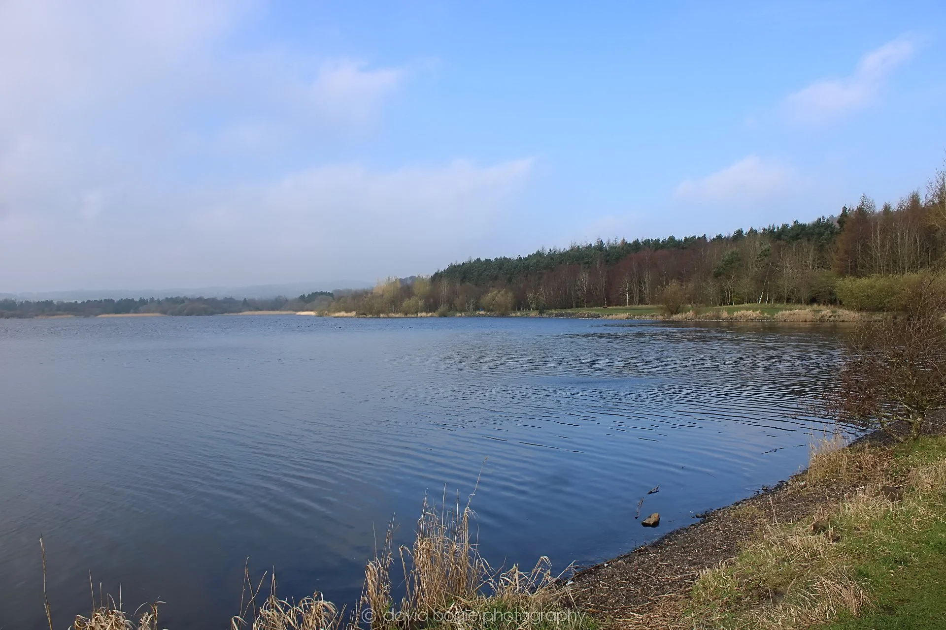 20190405 084817 Lochore 0003.jpg