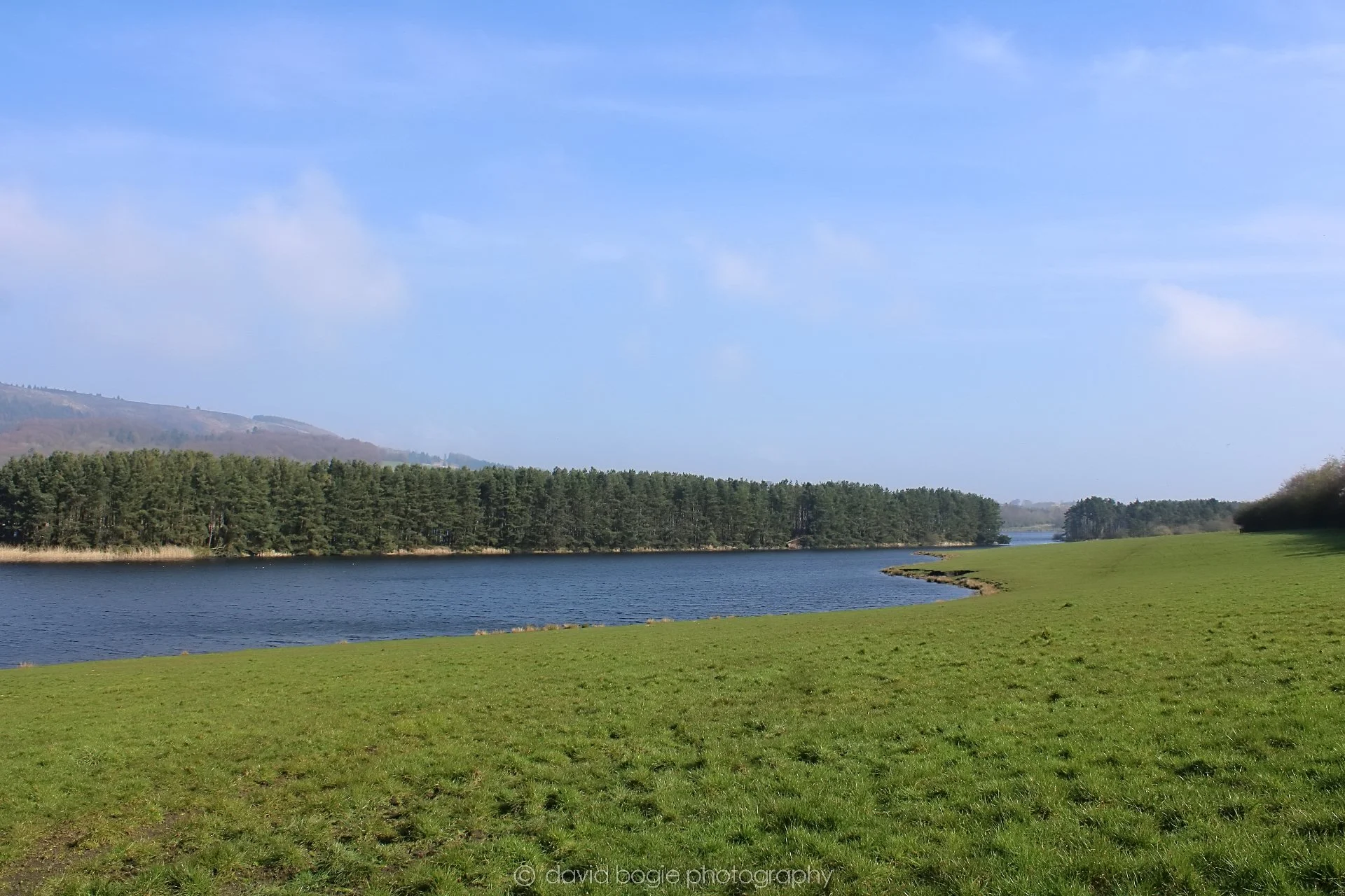20190405 100619 Lochore 0011.jpg